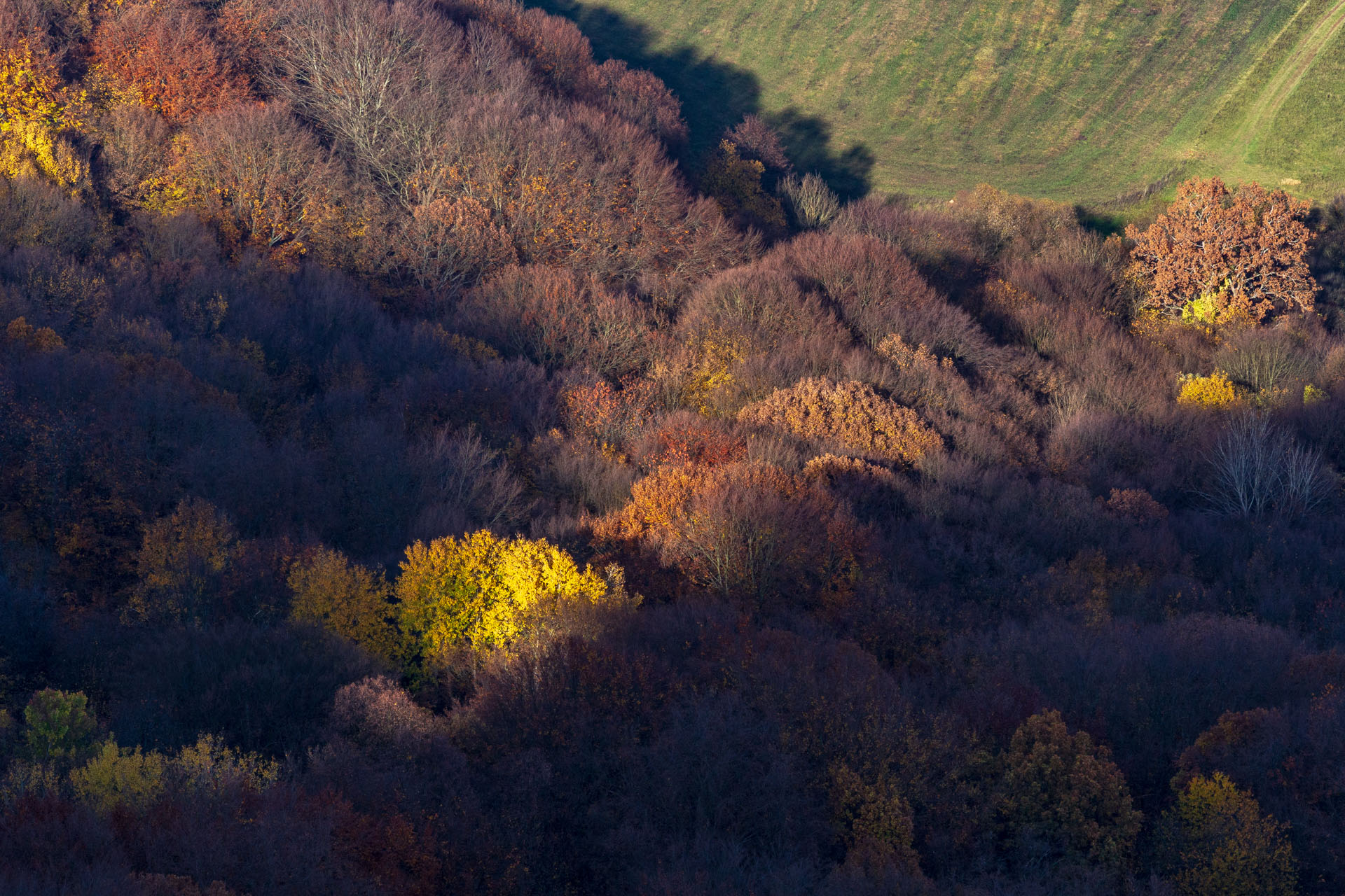 Dievčenská skala z Jablonovského sedla (Slovenský kras)