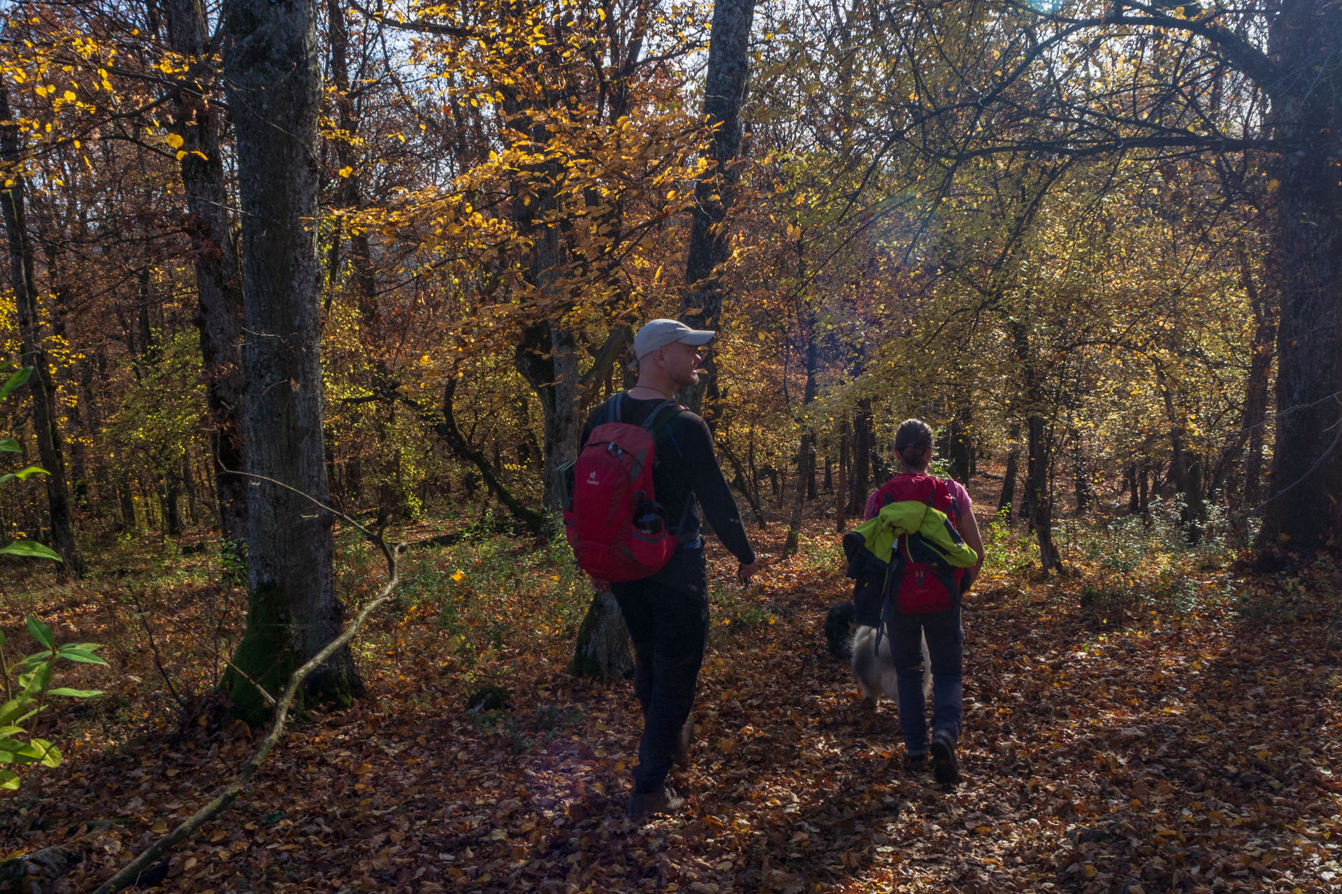 Dievčenská skala z Jablonovského sedla (Slovenský kras)