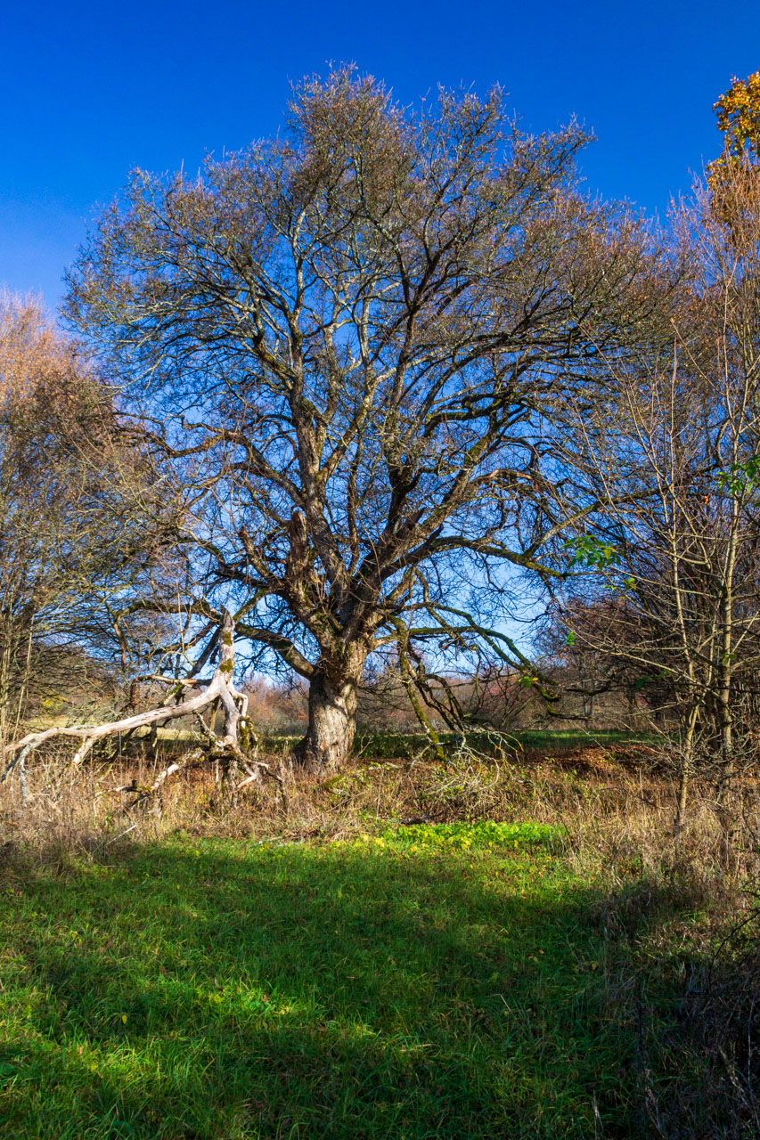 Dievčenská skala z Jablonovského sedla (Slovenský kras)