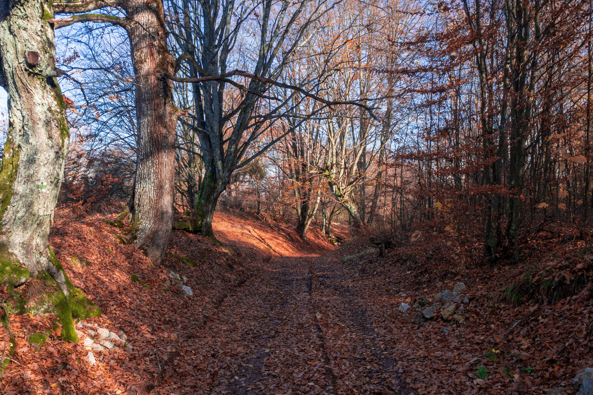 Dievčenská skala z Jablonovského sedla (Slovenský kras)