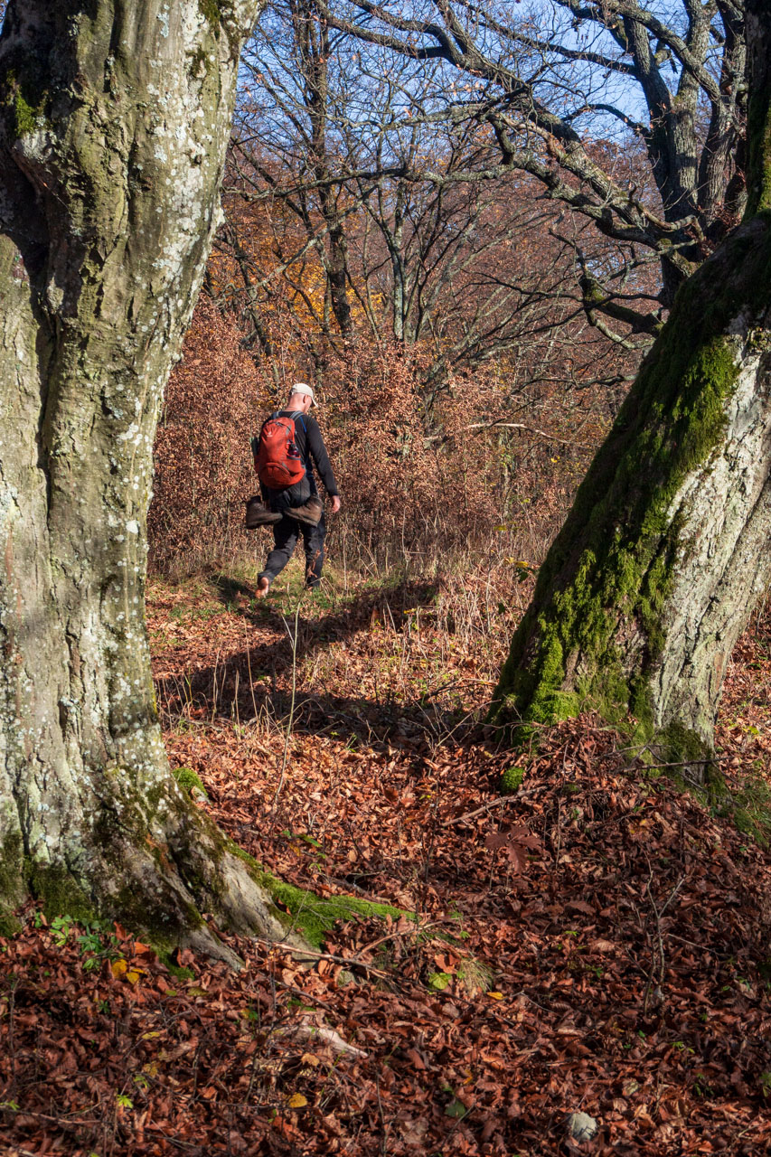 Dievčenská skala z Jablonovského sedla (Slovenský kras)