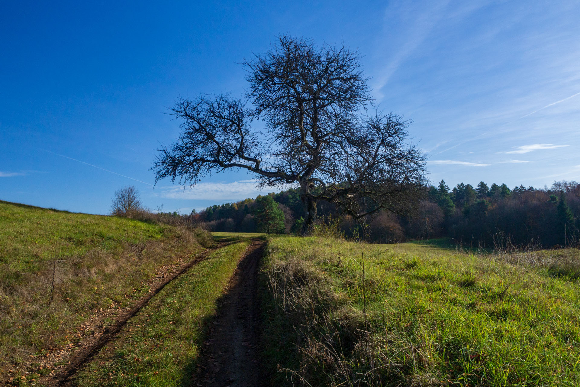 Dievčenská skala z Jablonovského sedla (Slovenský kras)