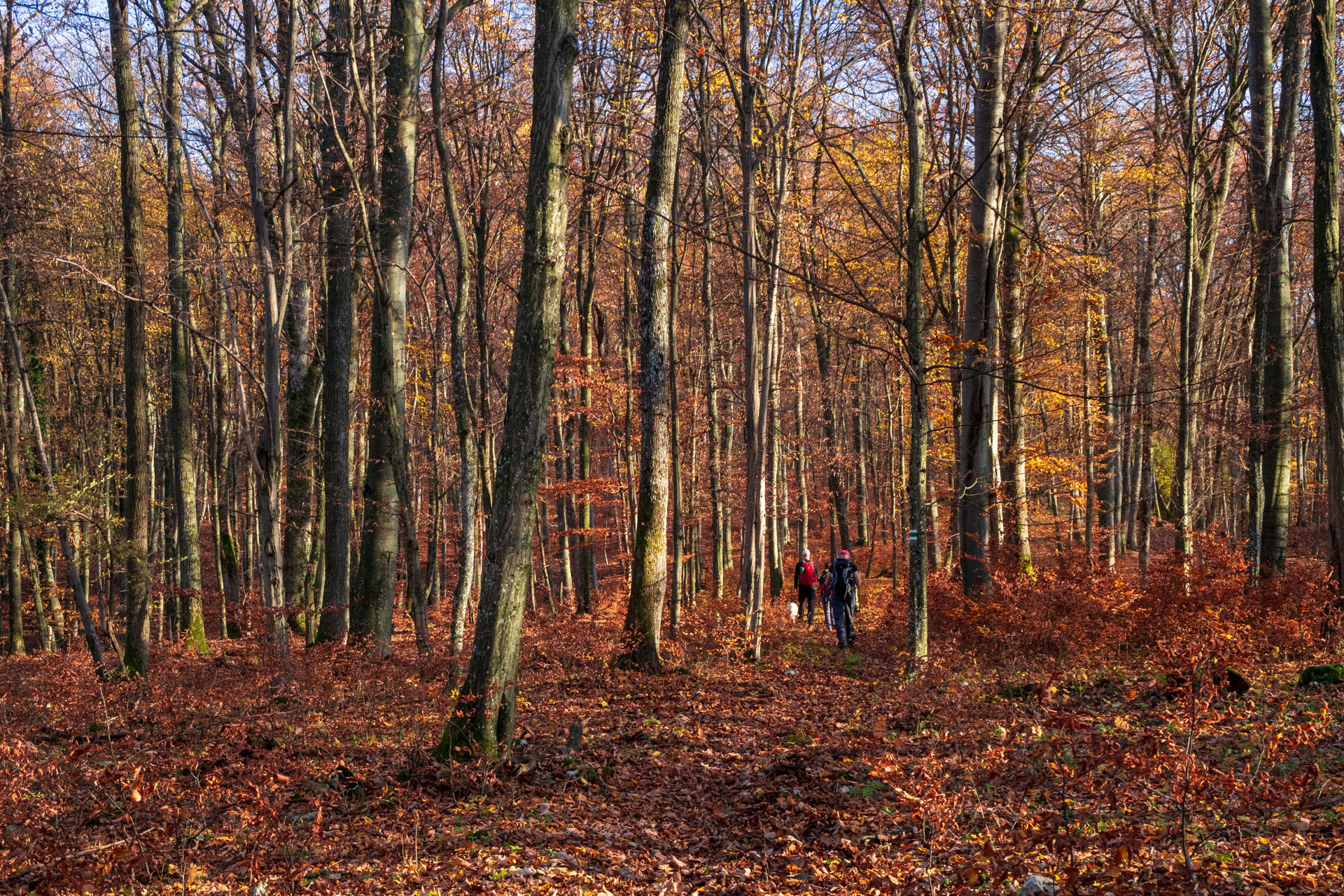 Dievčenská skala z Jablonovského sedla (Slovenský kras)