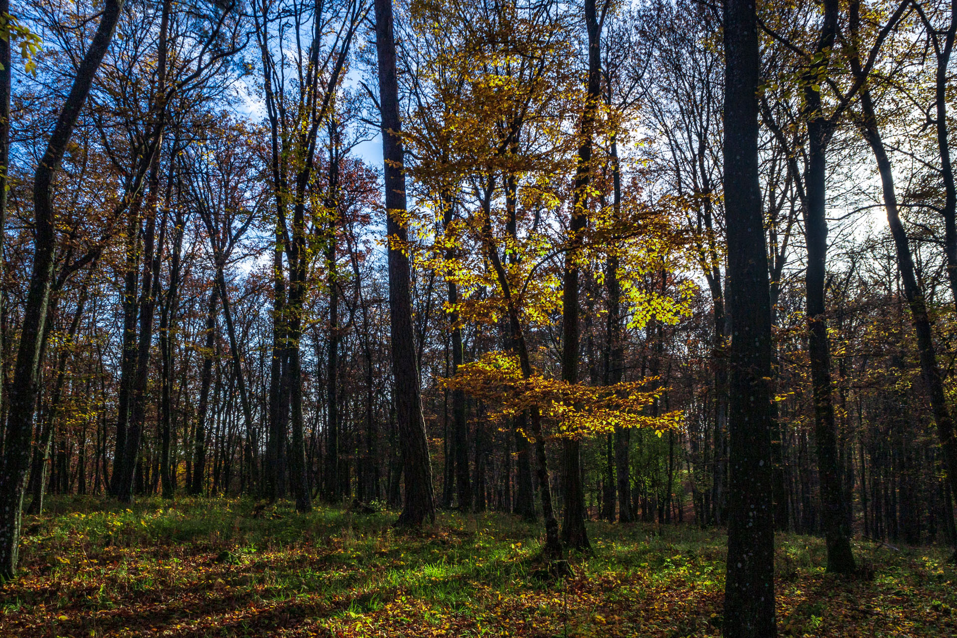 Dievčenská skala z Jablonovského sedla (Slovenský kras)