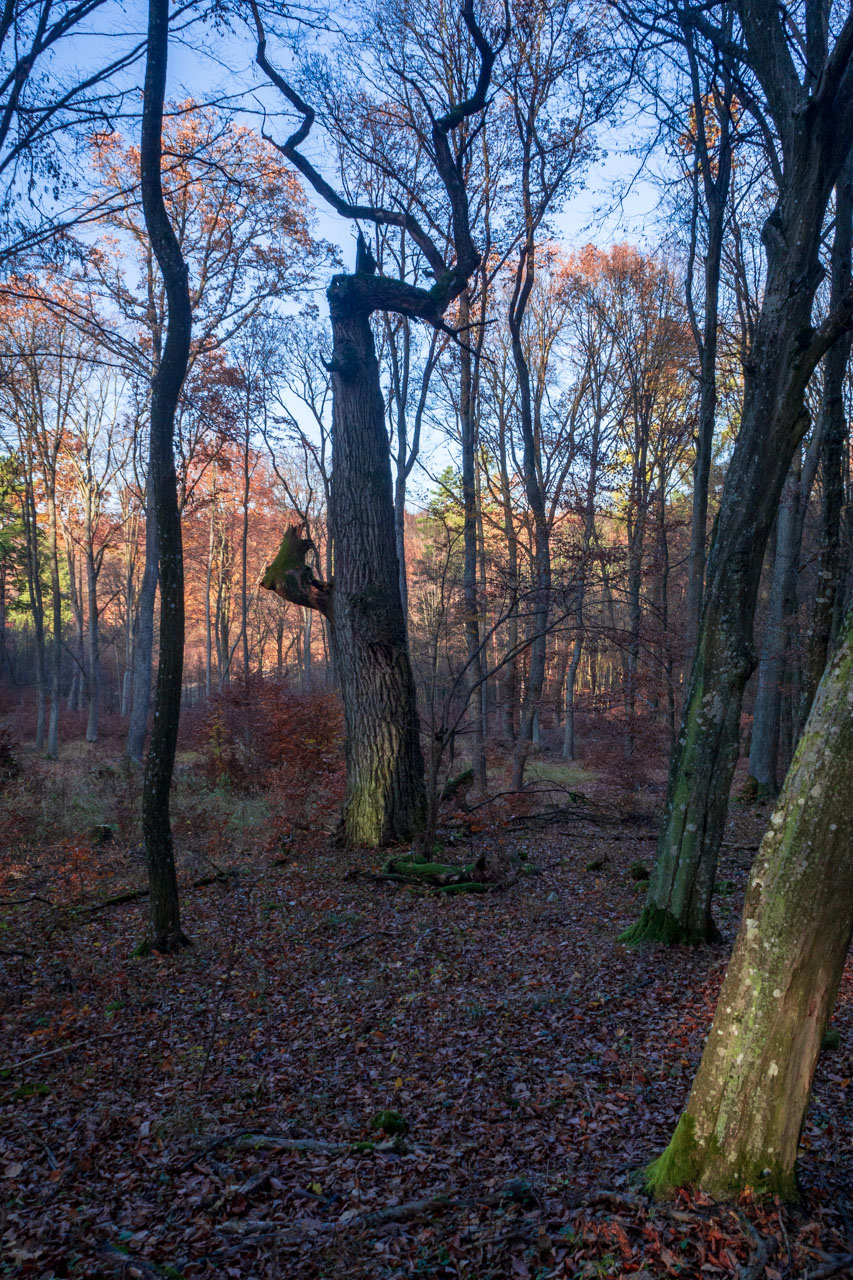 Dievčenská skala z Jablonovského sedla (Slovenský kras)