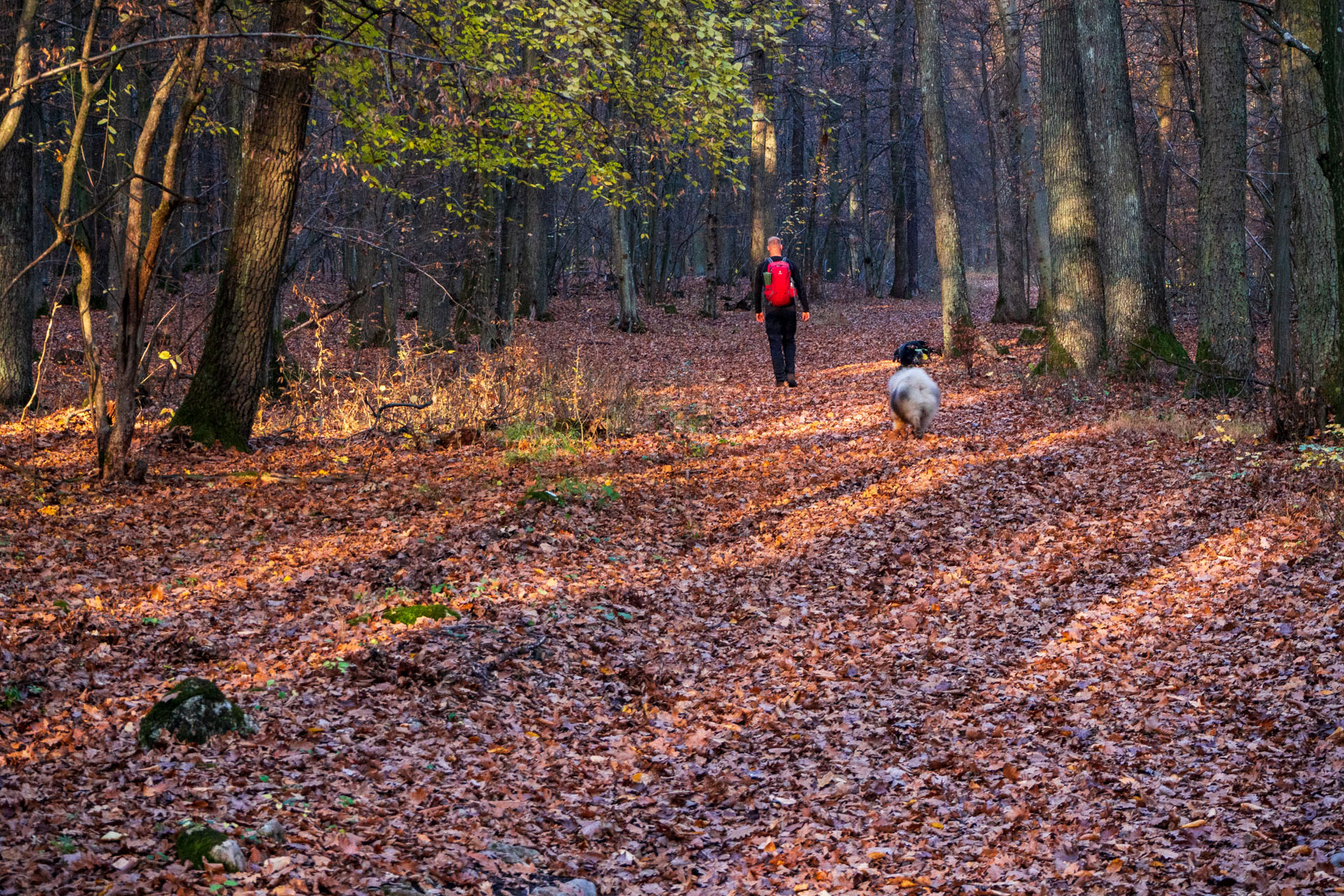 Dievčenská skala z Jablonovského sedla (Slovenský kras)