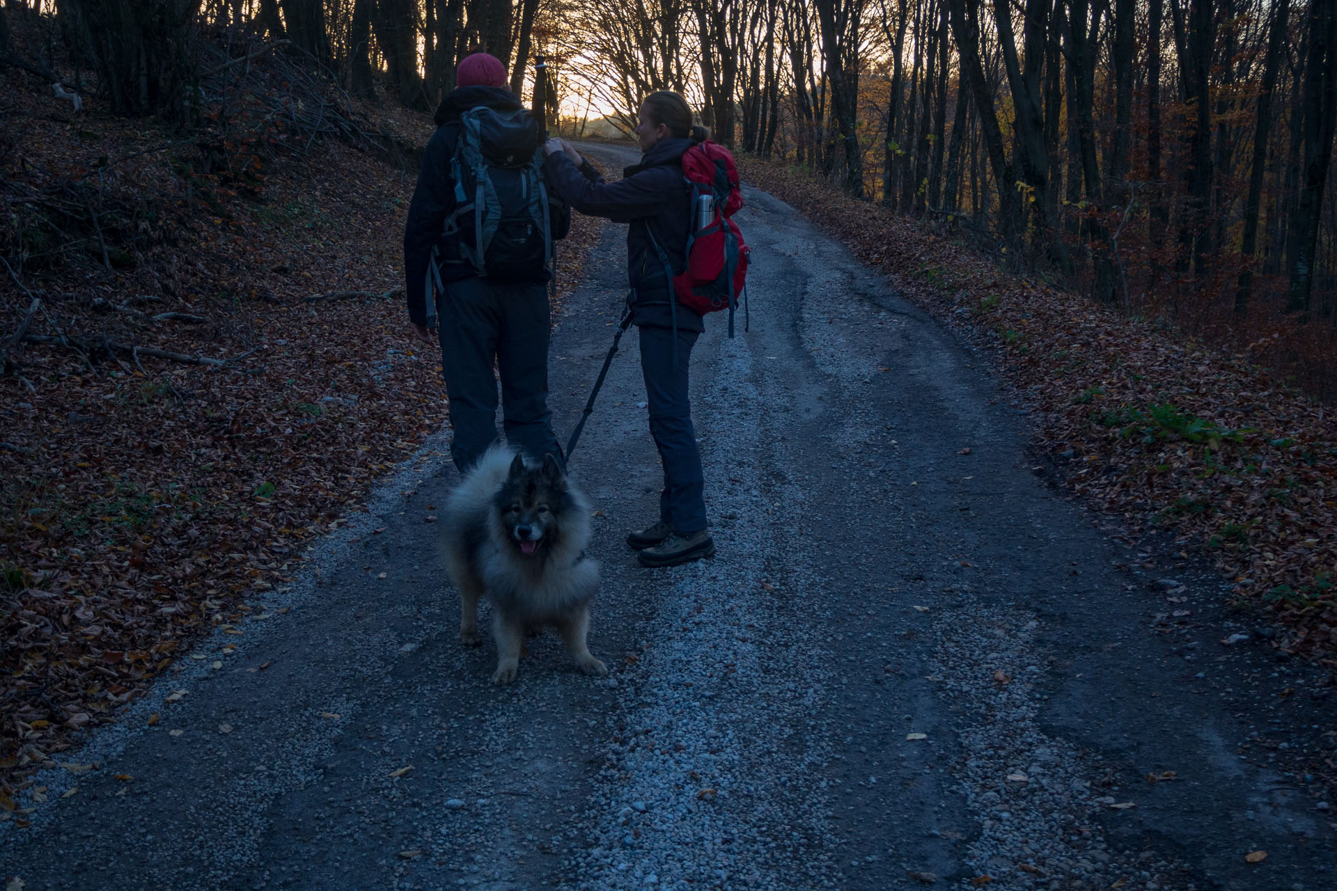 Dievčenská skala z Jablonovského sedla (Slovenský kras)