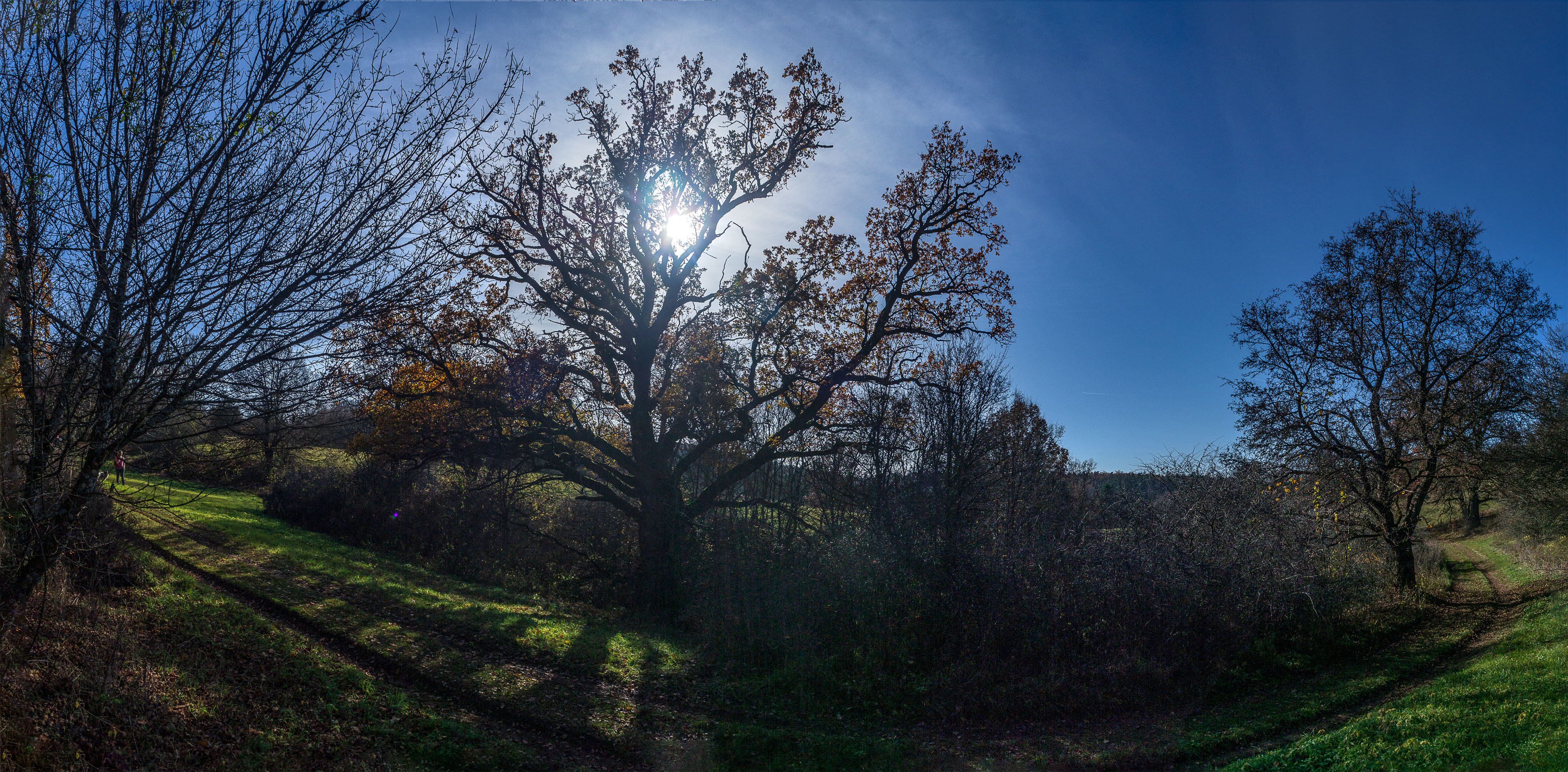 Dievčenská skala z Jablonovského sedla (Slovenský kras)