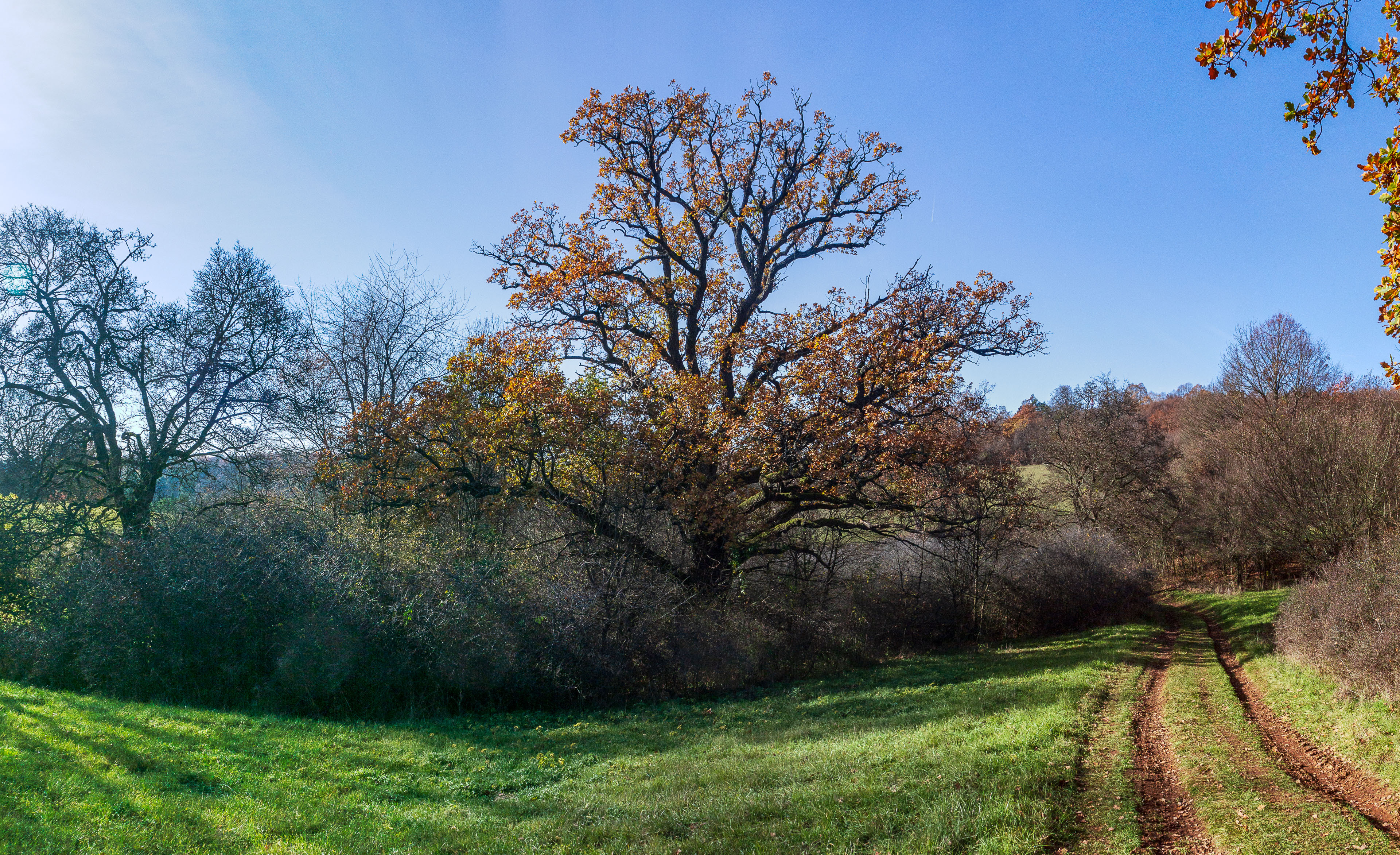 Dievčenská skala z Jablonovského sedla (Slovenský kras)