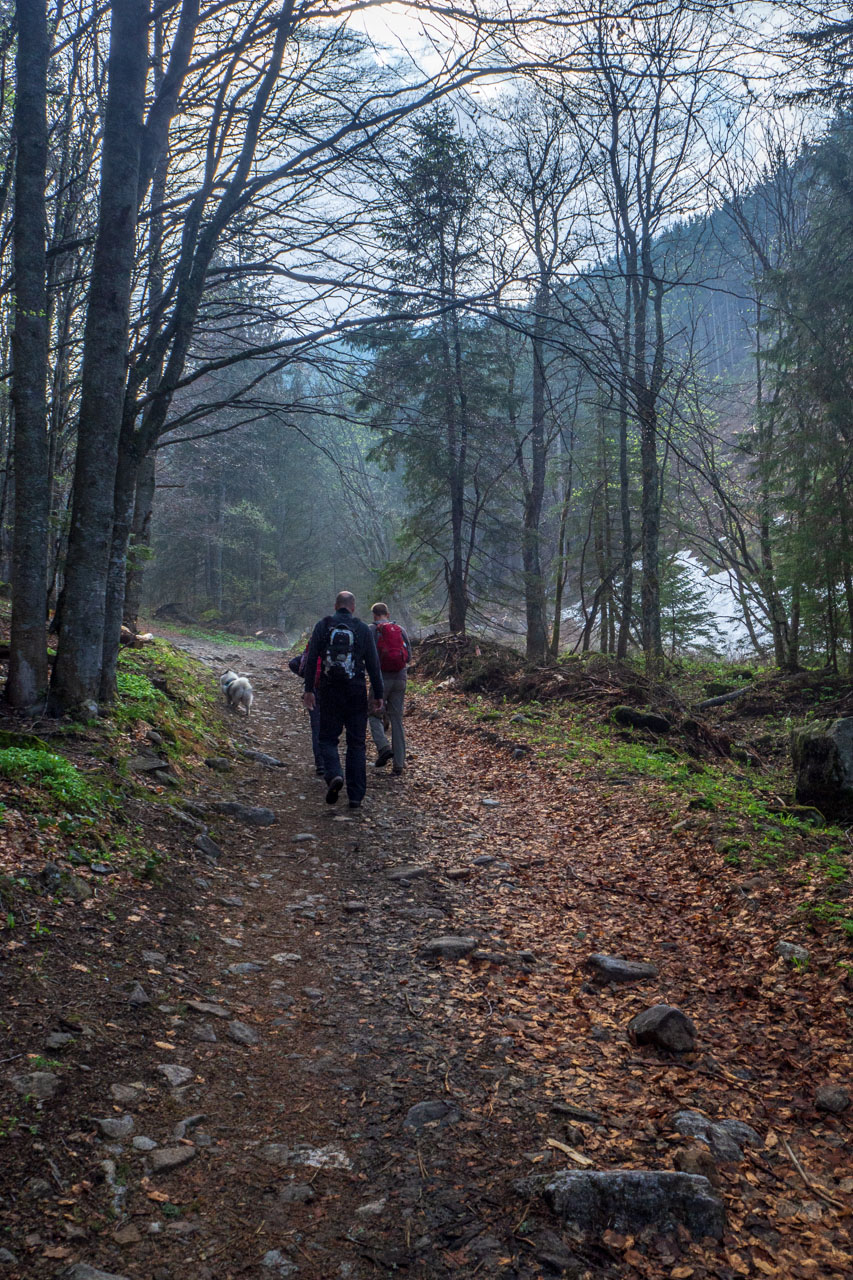 Ďumbier cez Štefáničku (Nízke Tatry)