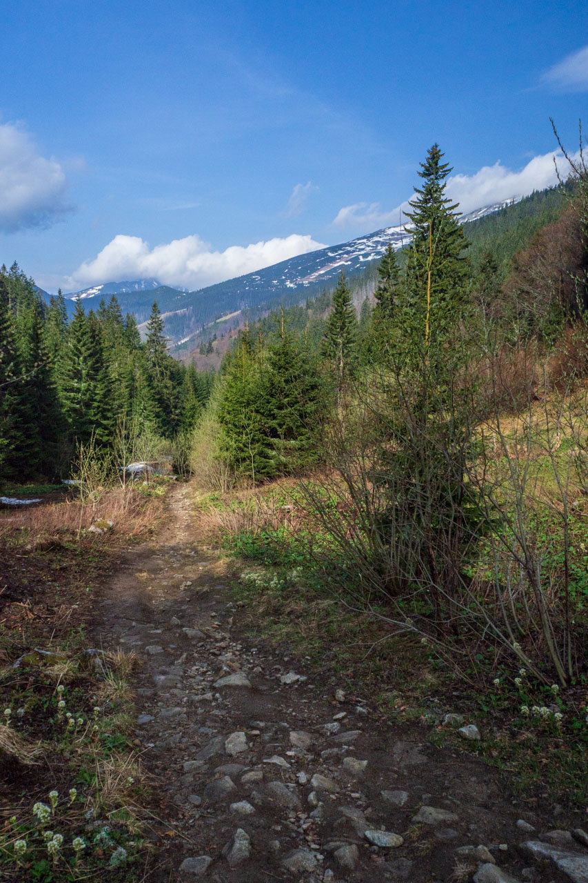 Ďumbier cez Štefáničku (Nízke Tatry)