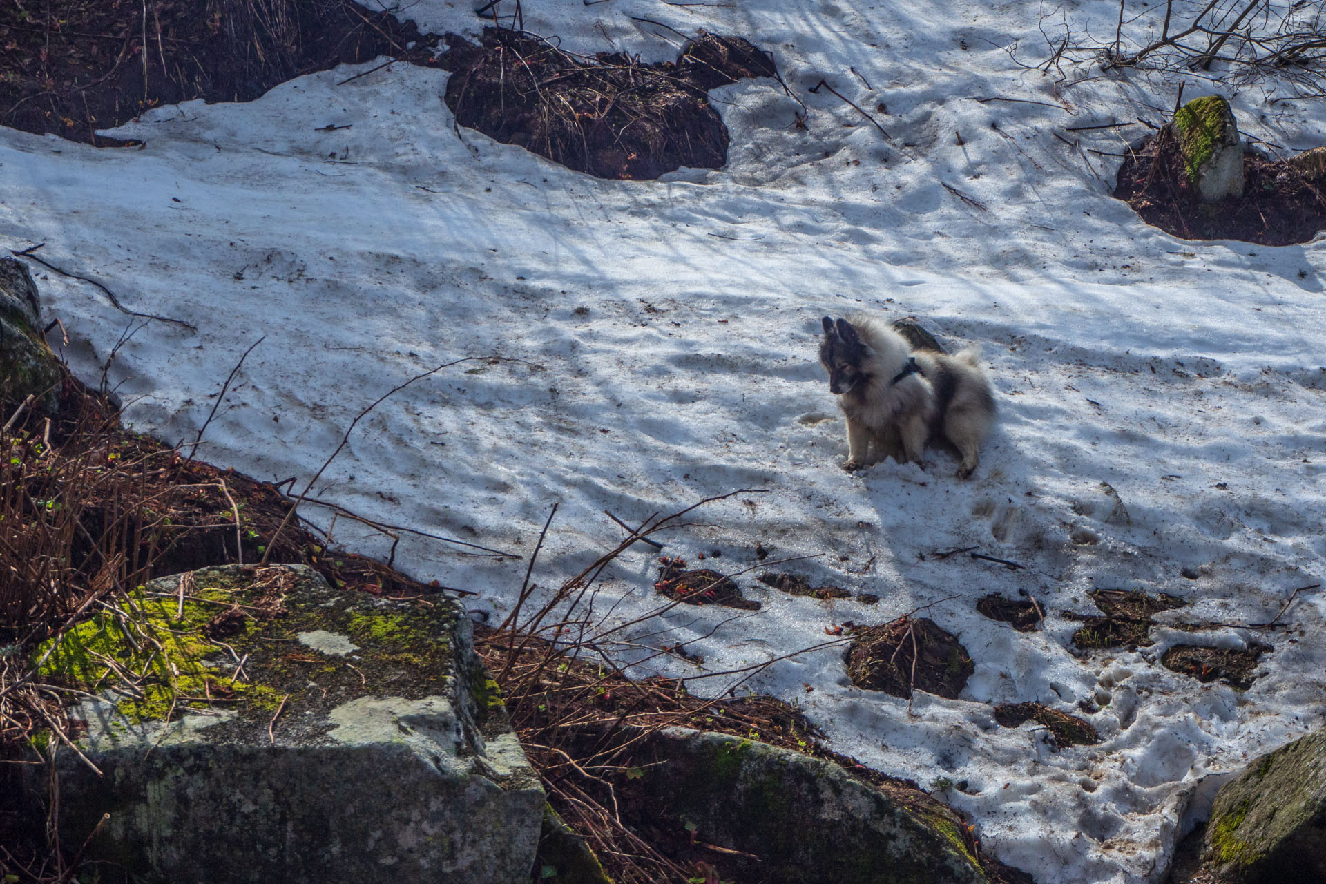 Ďumbier cez Štefáničku (Nízke Tatry)