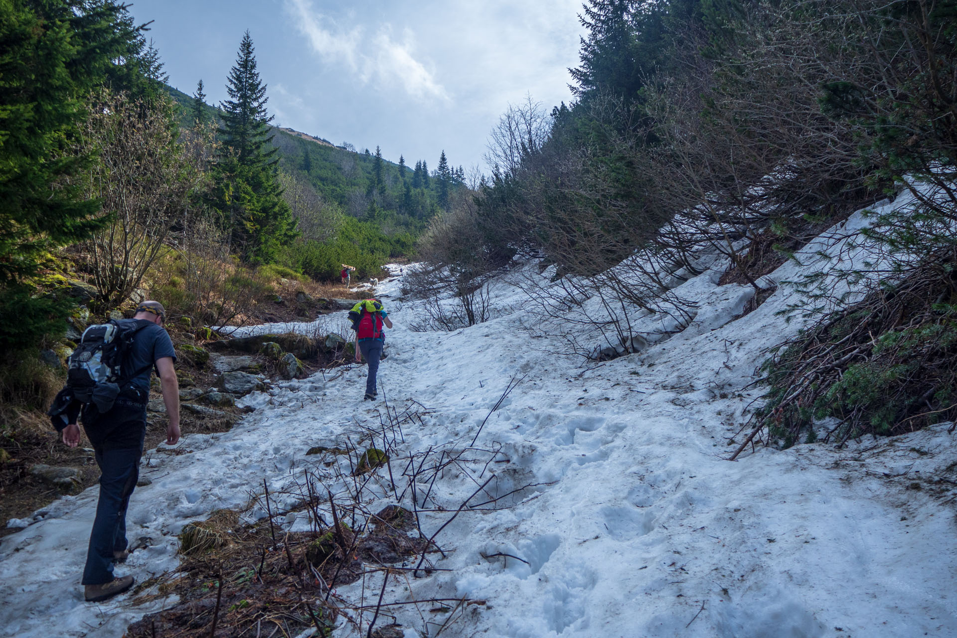 Ďumbier cez Štefáničku (Nízke Tatry)