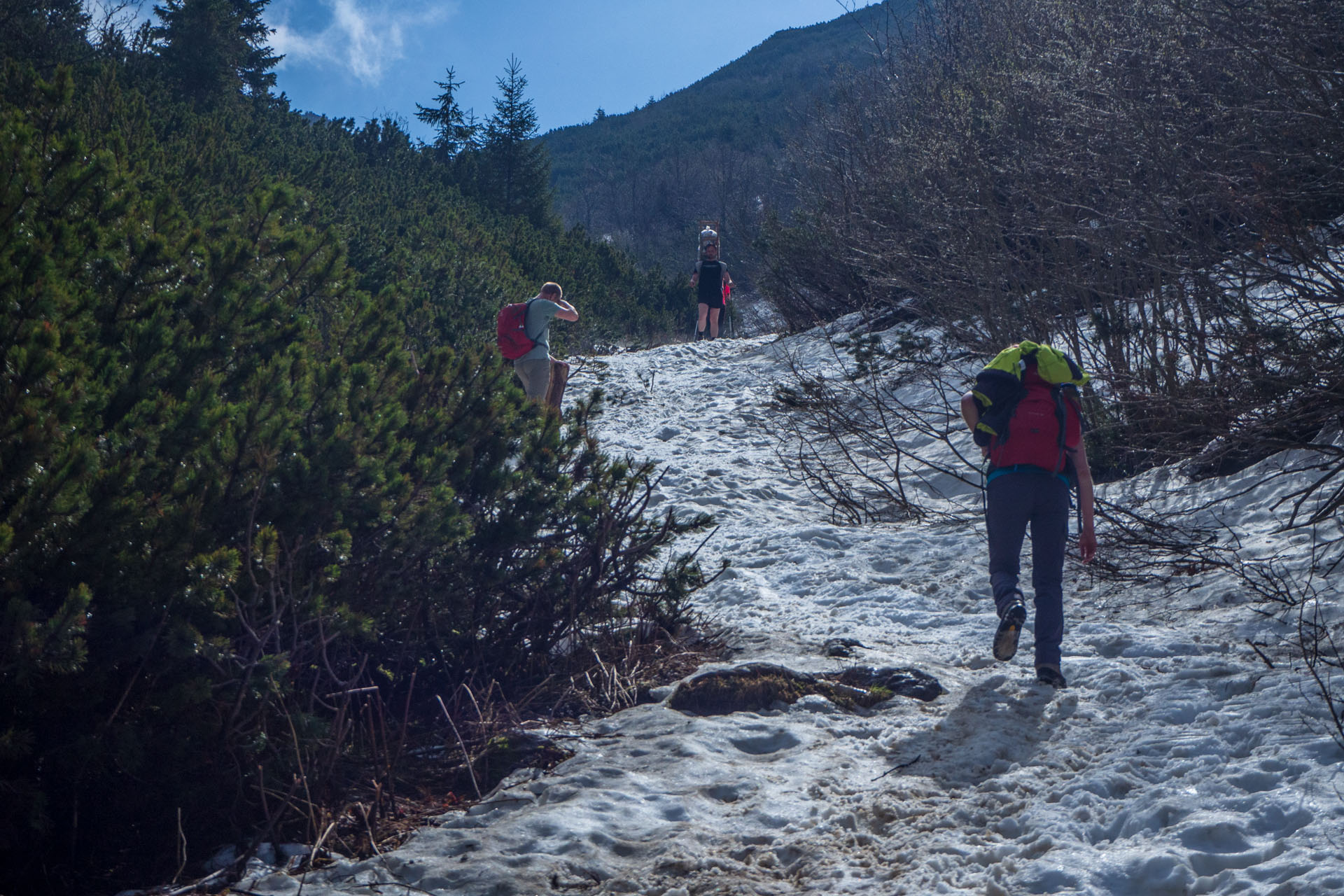 Ďumbier cez Štefáničku (Nízke Tatry)