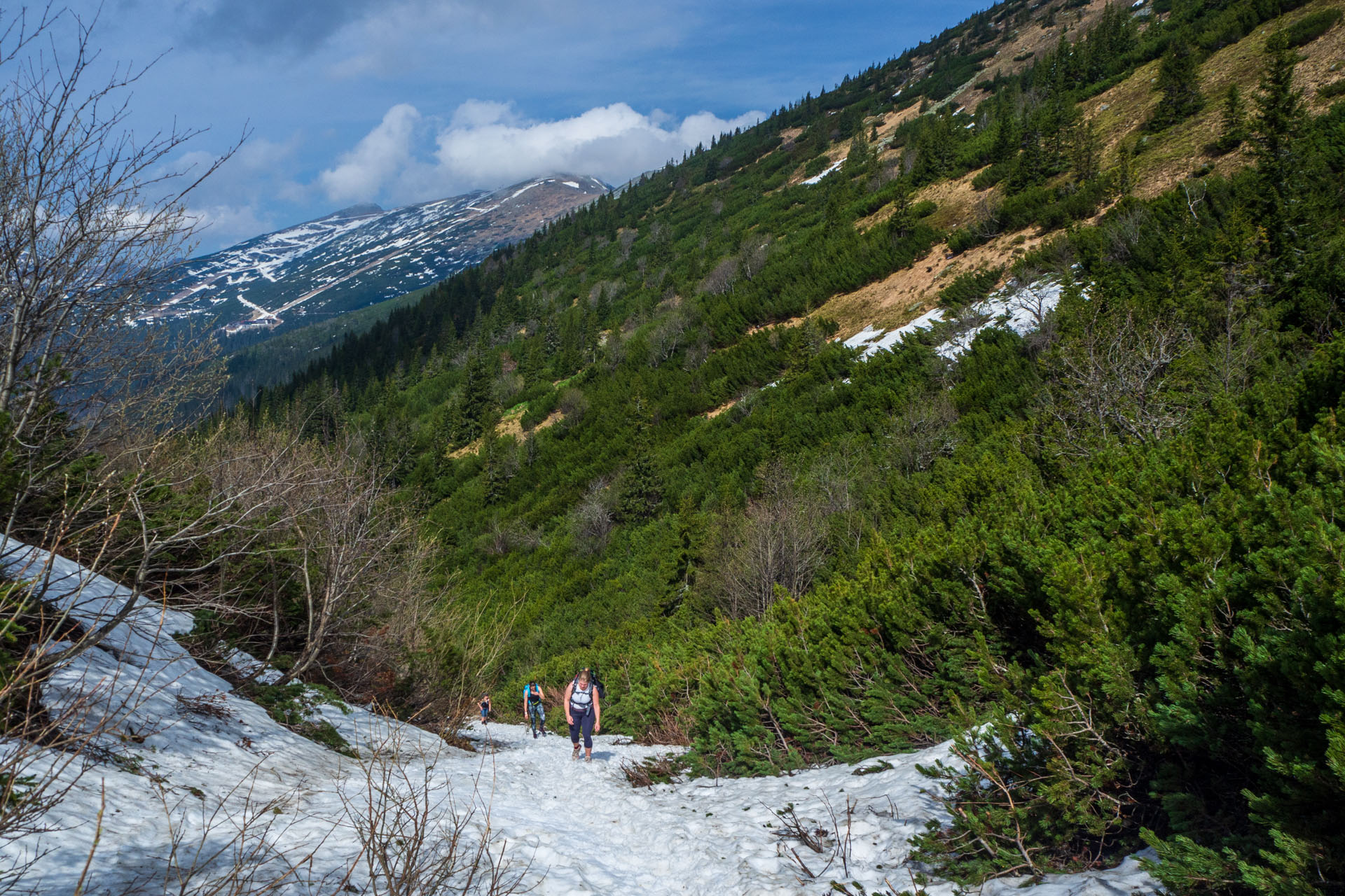 Ďumbier cez Štefáničku (Nízke Tatry)