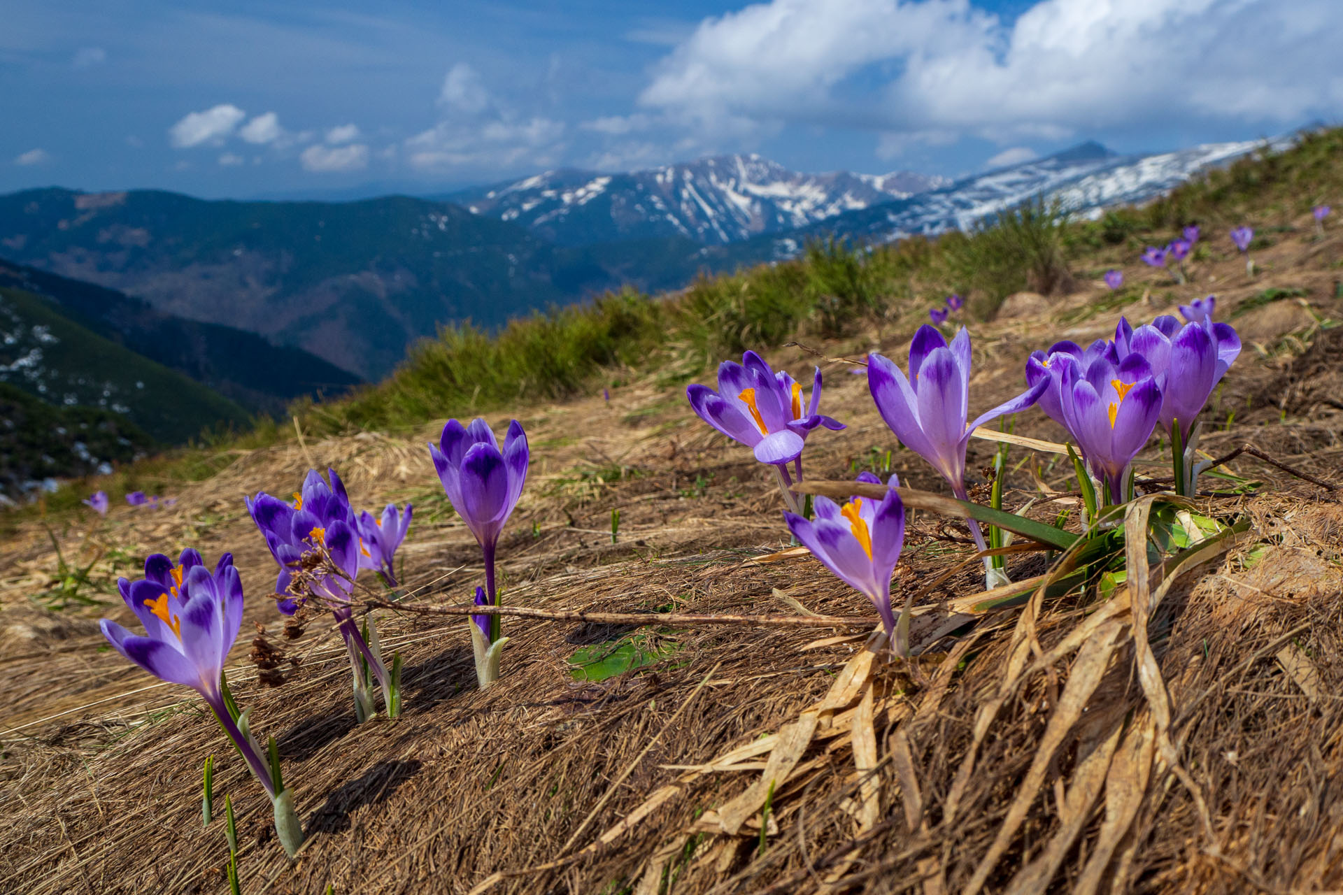 Ďumbier cez Štefáničku (Nízke Tatry)