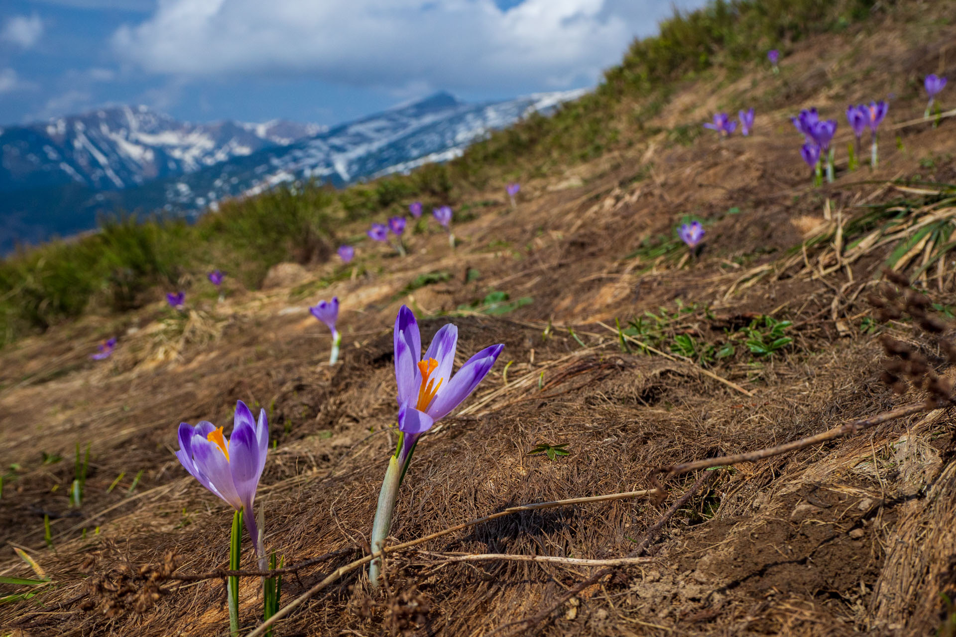 Ďumbier cez Štefáničku (Nízke Tatry)