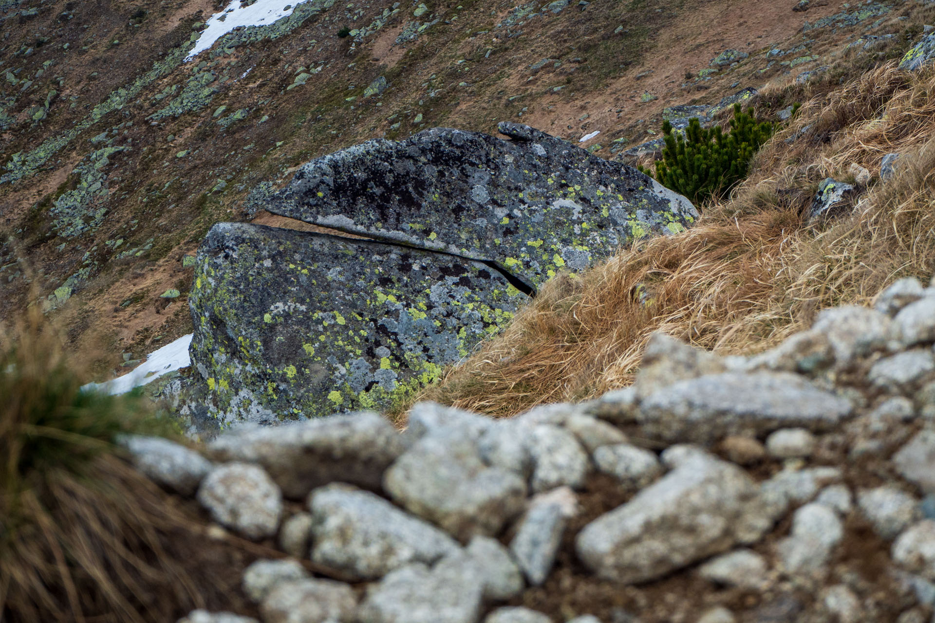 Ďumbier cez Štefáničku (Nízke Tatry)