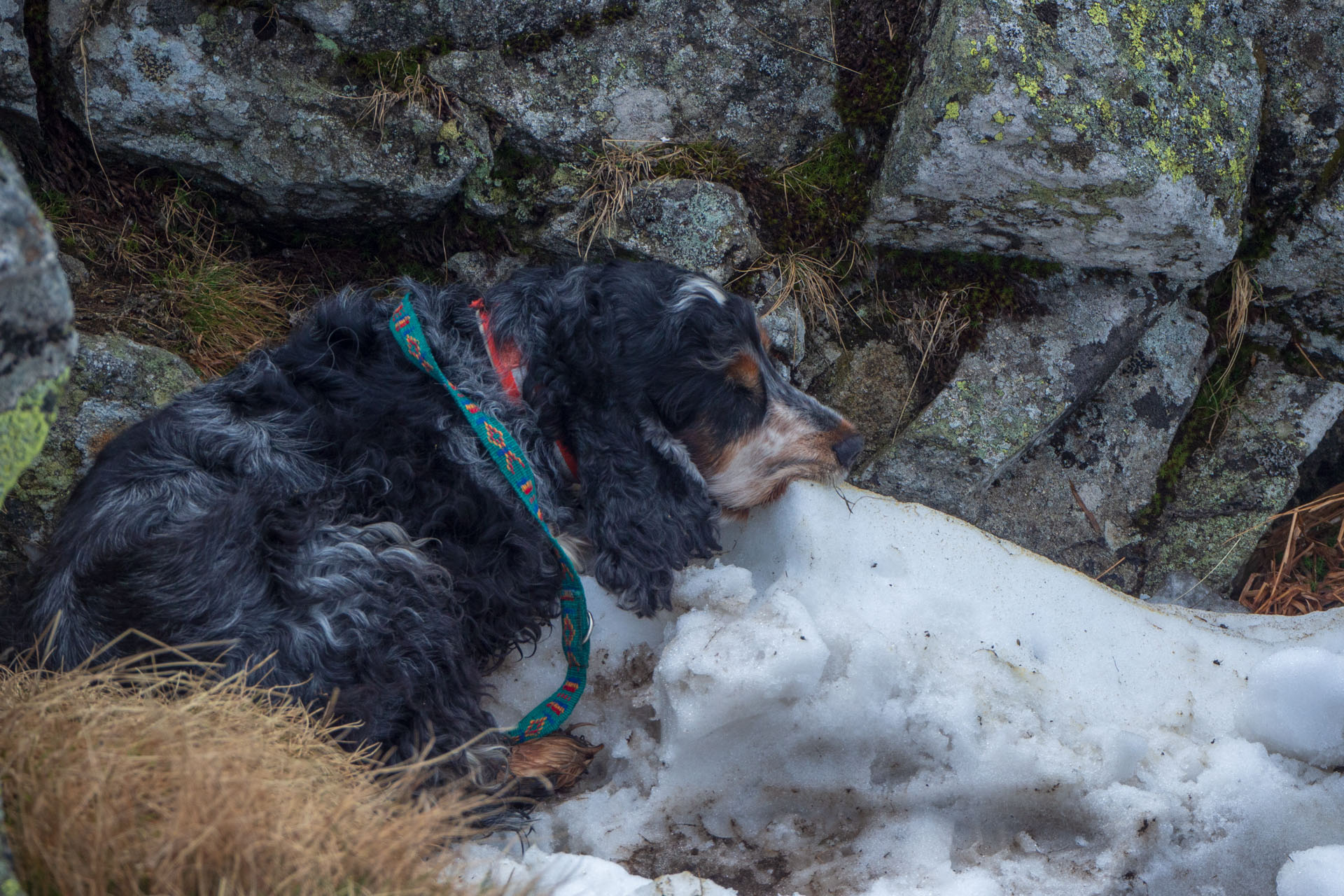 Ďumbier cez Štefáničku (Nízke Tatry)