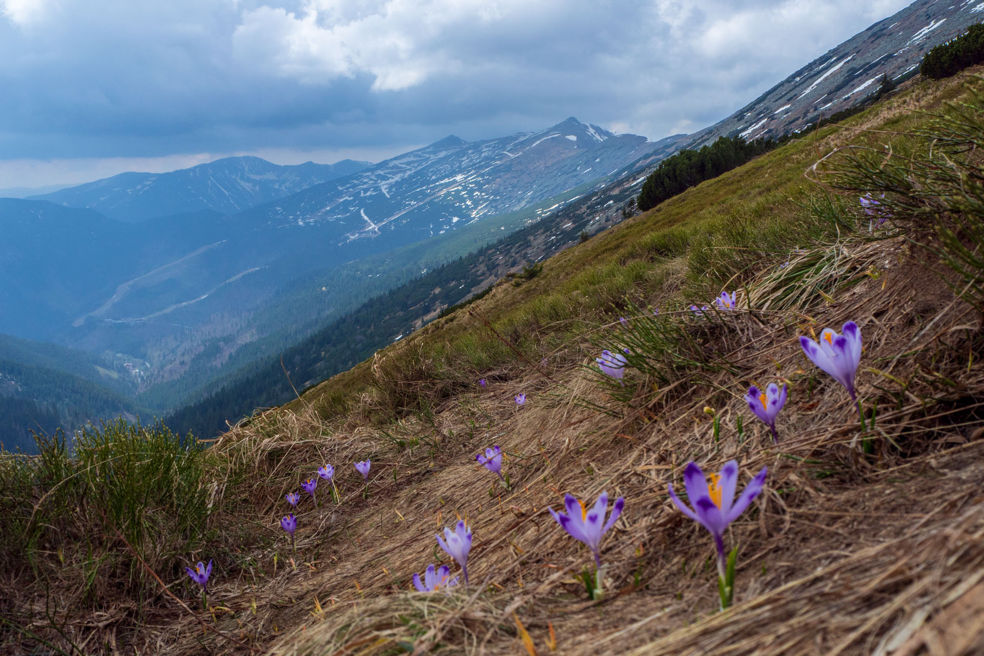 Ďumbier cez Štefáničku (Nízke Tatry)