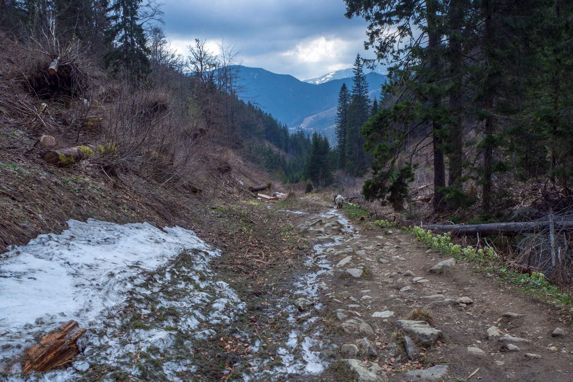 Ďumbier cez Štefáničku (Nízke Tatry)