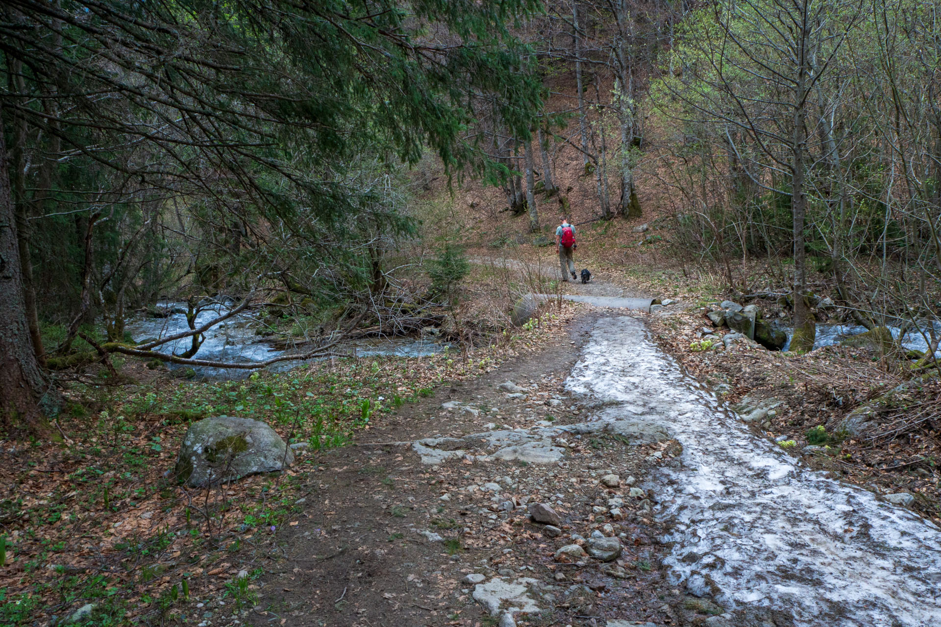 Ďumbier cez Štefáničku (Nízke Tatry)