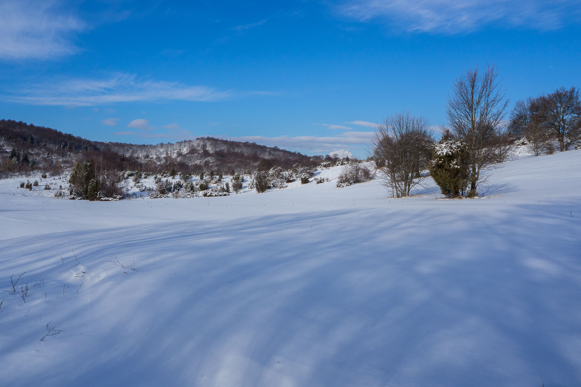 Gerlašská skala z Rakovnice (Slovenský kras)