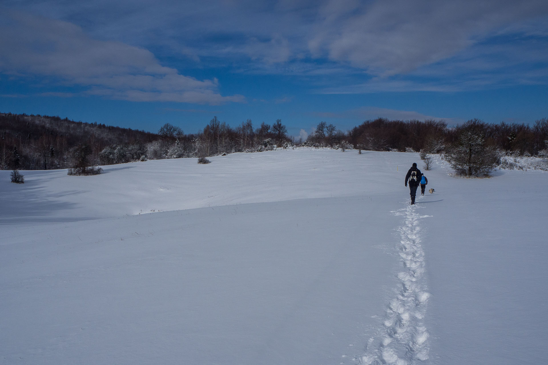 Gerlašská skala z Rakovnice (Slovenský kras)