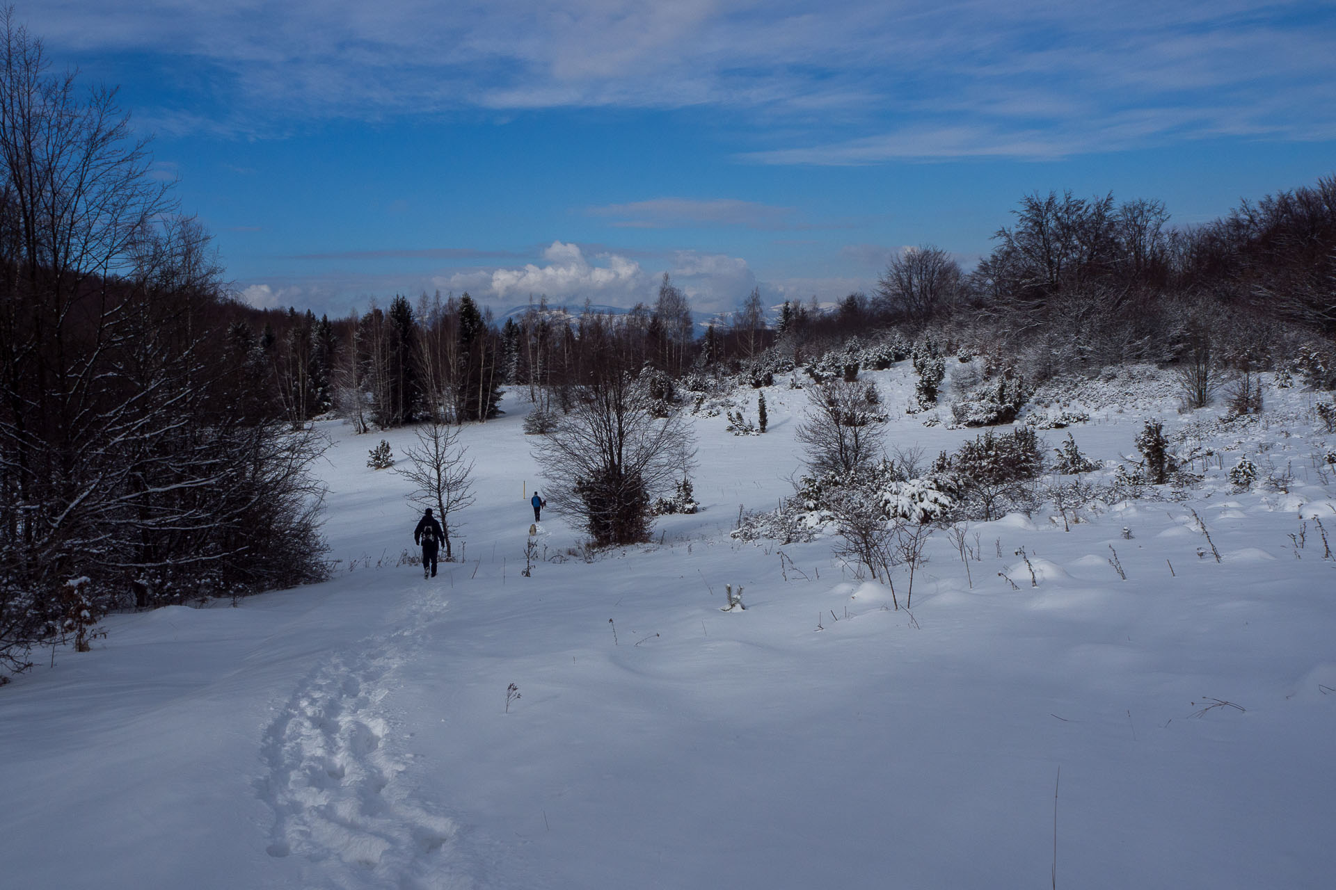 Gerlašská skala z Rakovnice (Slovenský kras)