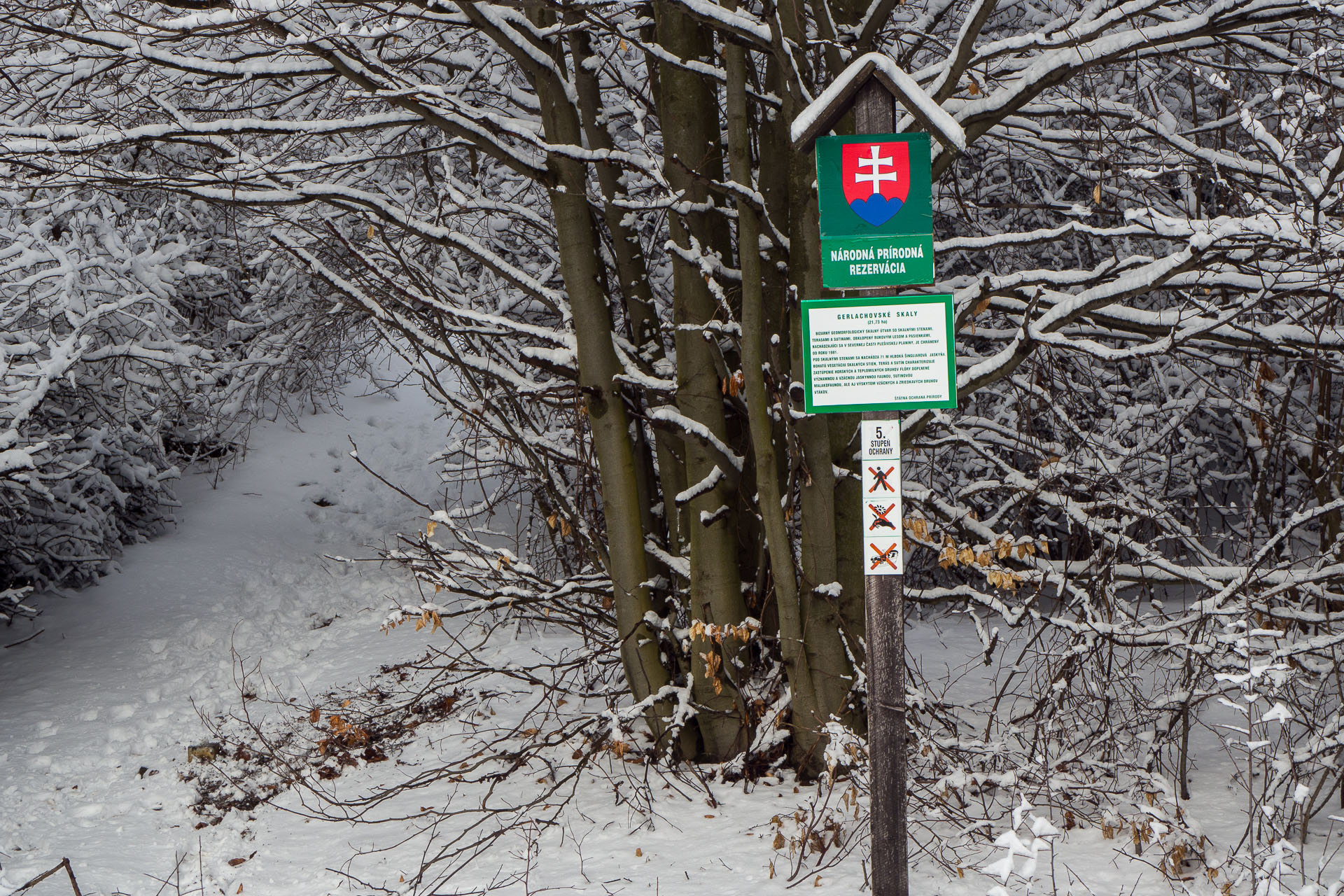 Gerlašská skala z Rakovnice (Slovenský kras)