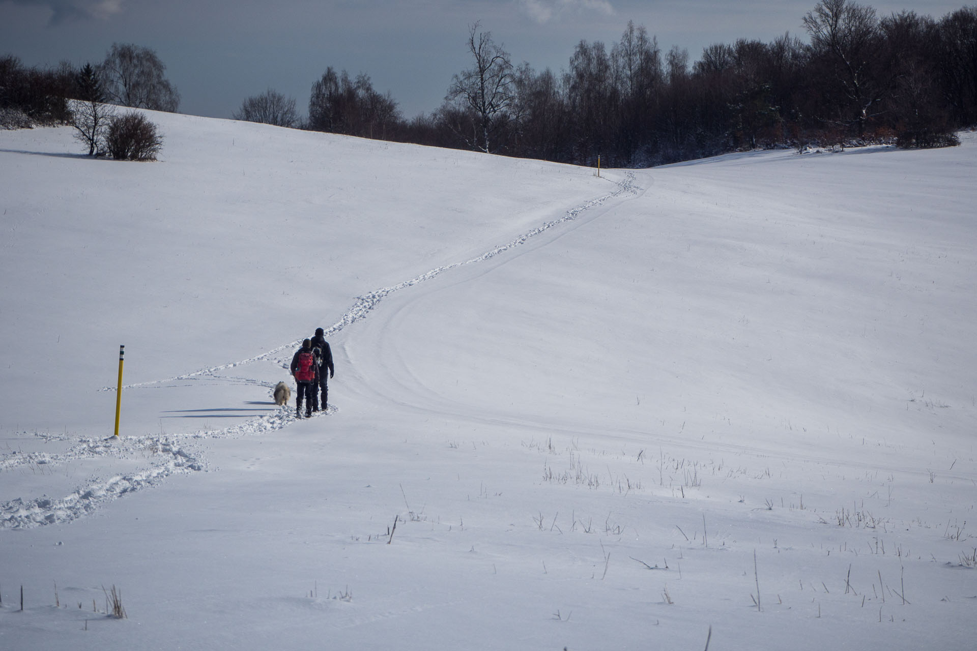 Gerlašská skala z Rakovnice (Slovenský kras)