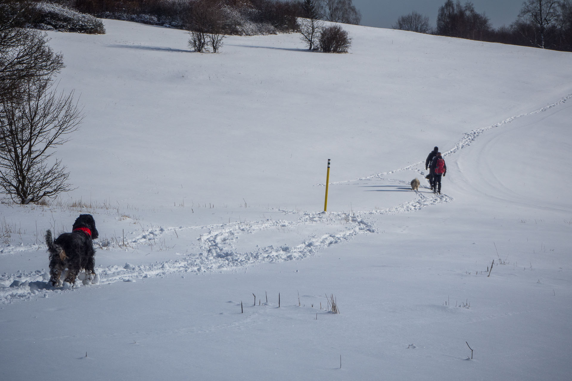 Gerlašská skala z Rakovnice (Slovenský kras)