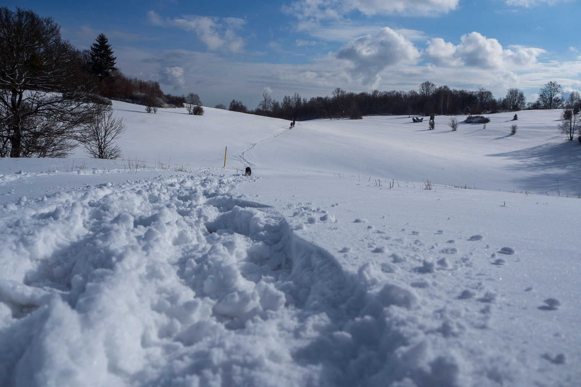 Gerlašská skala z Rakovnice (Slovenský kras)