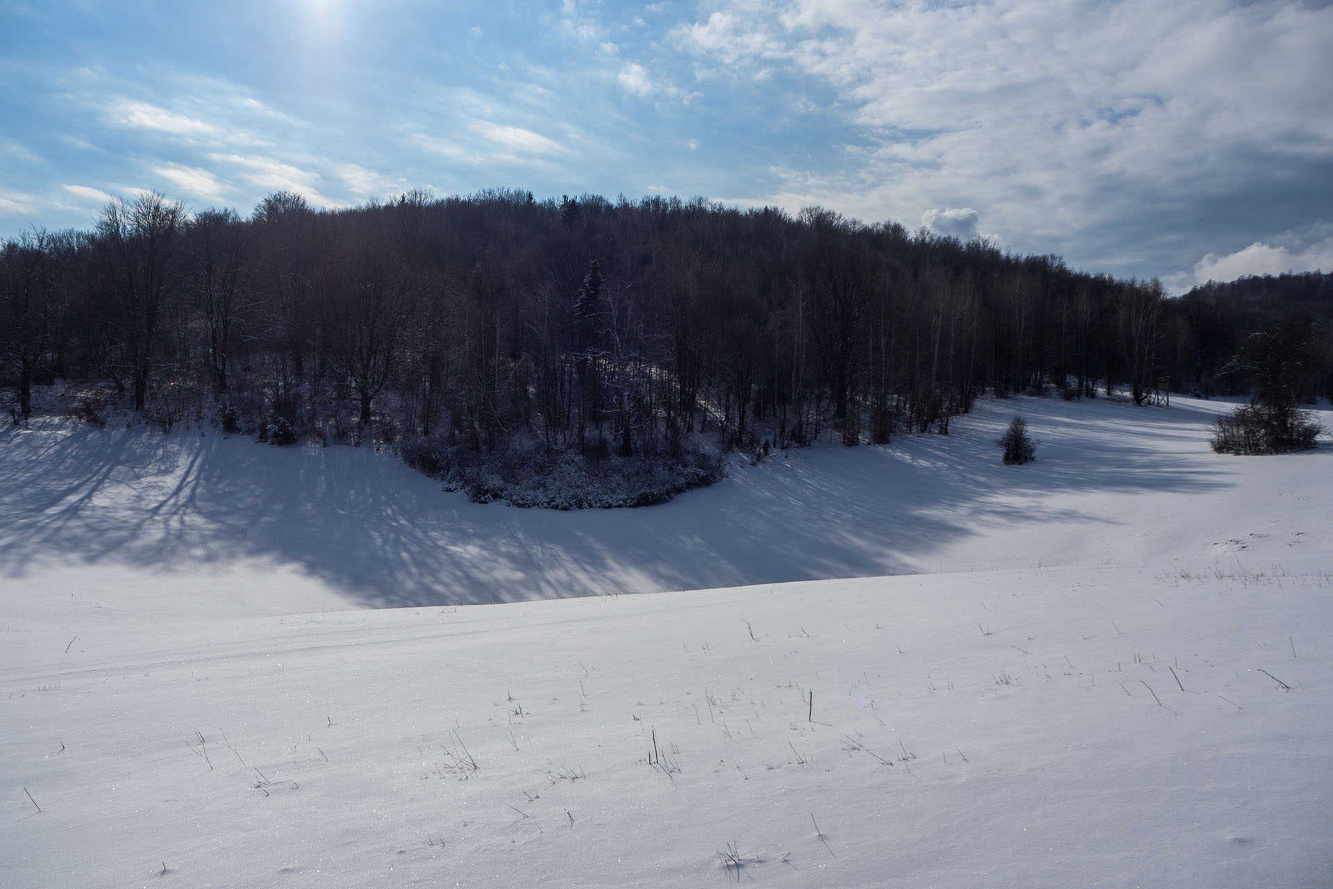 Gerlašská skala z Rakovnice (Slovenský kras)