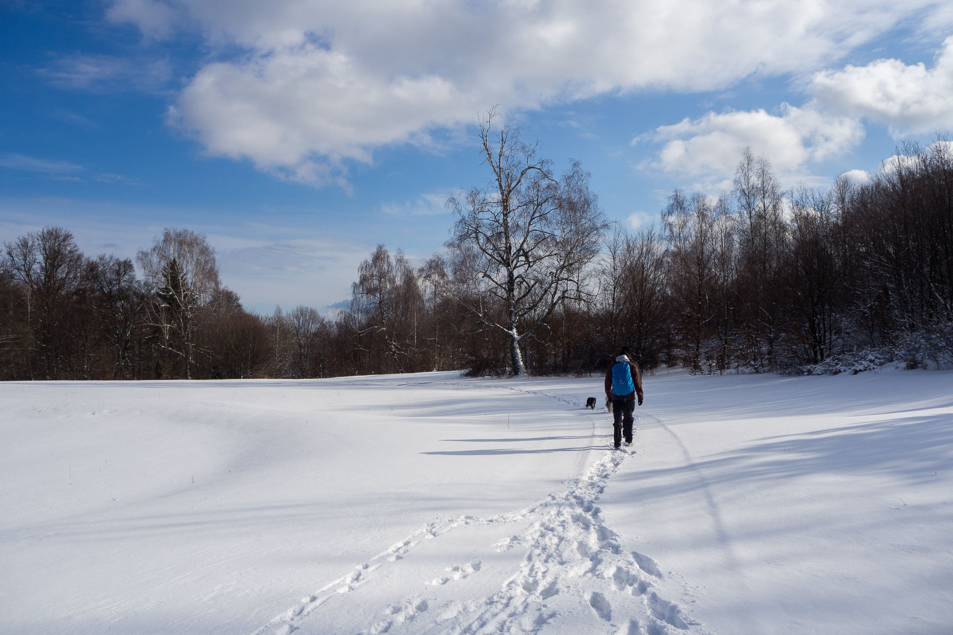 Gerlašská skala z Rakovnice (Slovenský kras)