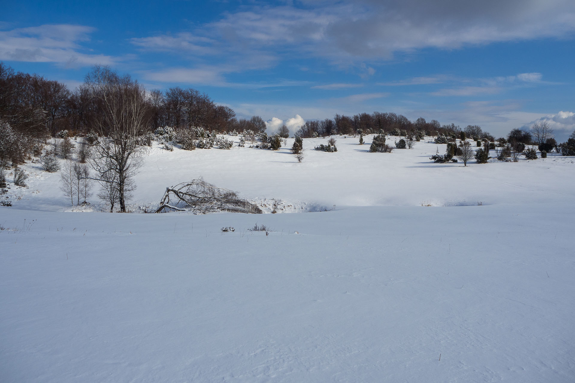 Gerlašská skala z Rakovnice (Slovenský kras)