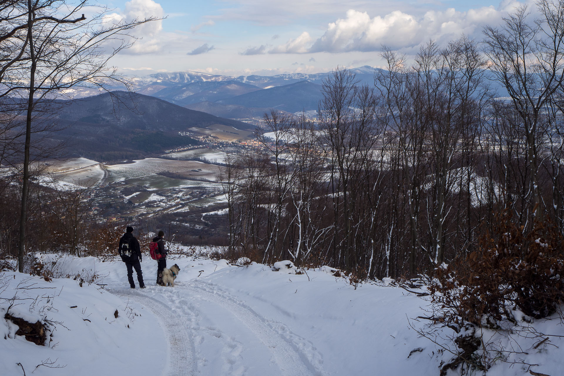 Gerlašská skala z Rakovnice (Slovenský kras)