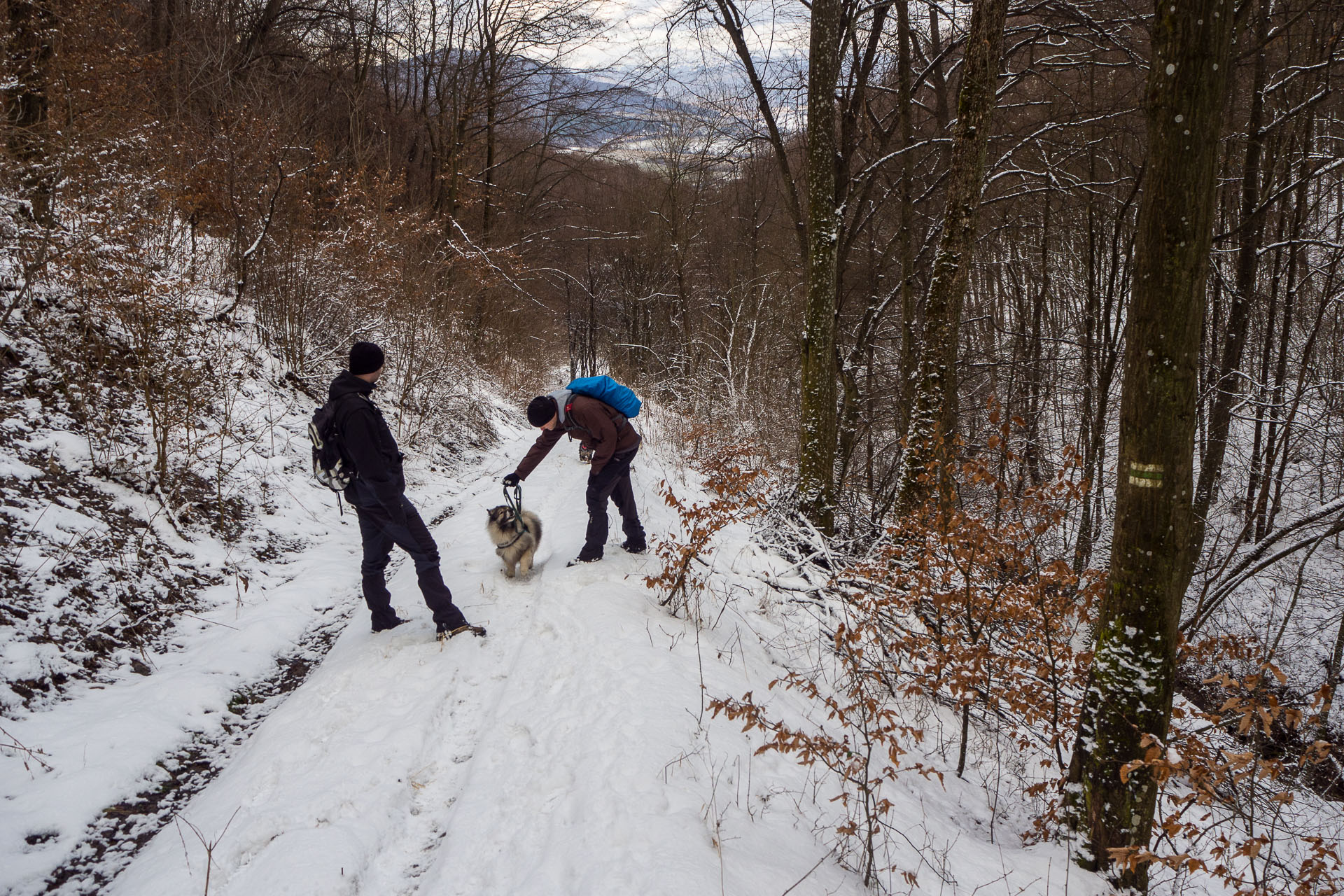 Gerlašská skala z Rakovnice (Slovenský kras)