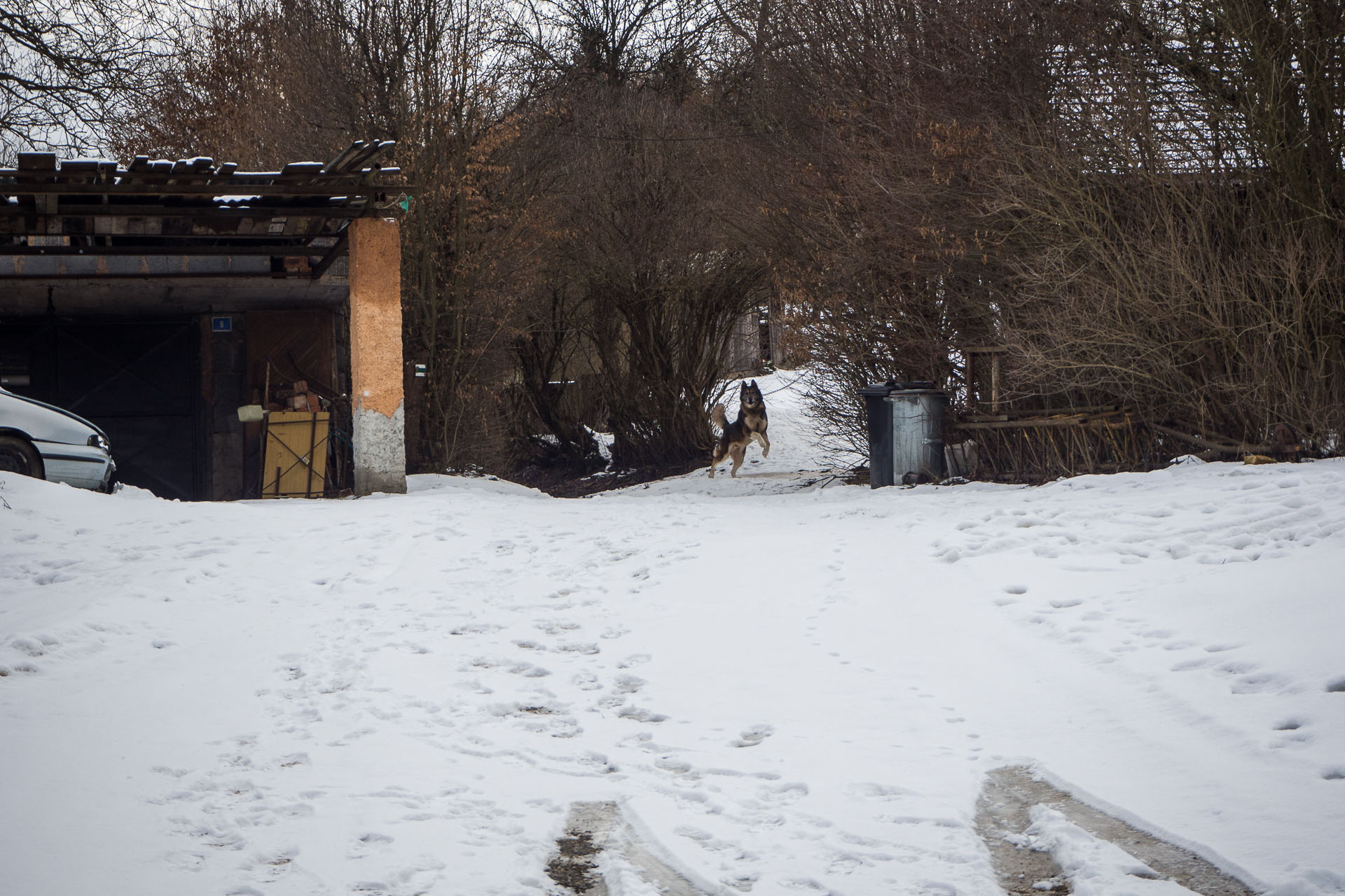 Gerlašská skala z Rakovnice (Slovenský kras)