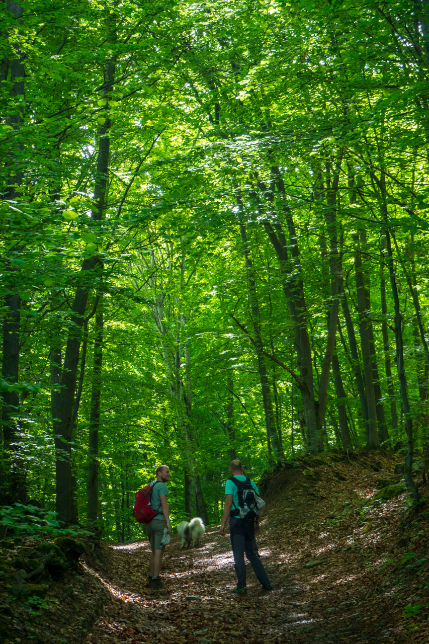 Gerlašská skala a Zvonárka z Honcov (Slovenský kras)