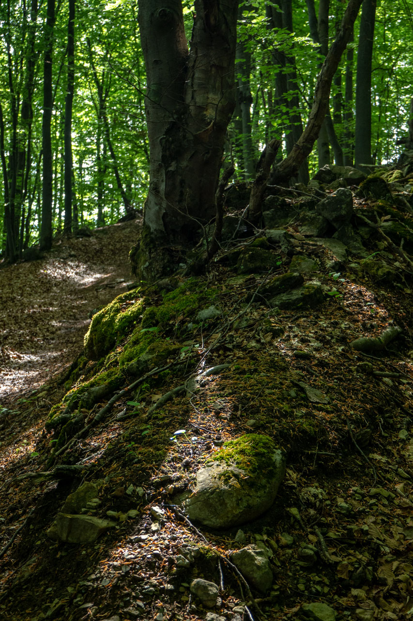 Gerlašská skala a Zvonárka z Honcov (Slovenský kras)