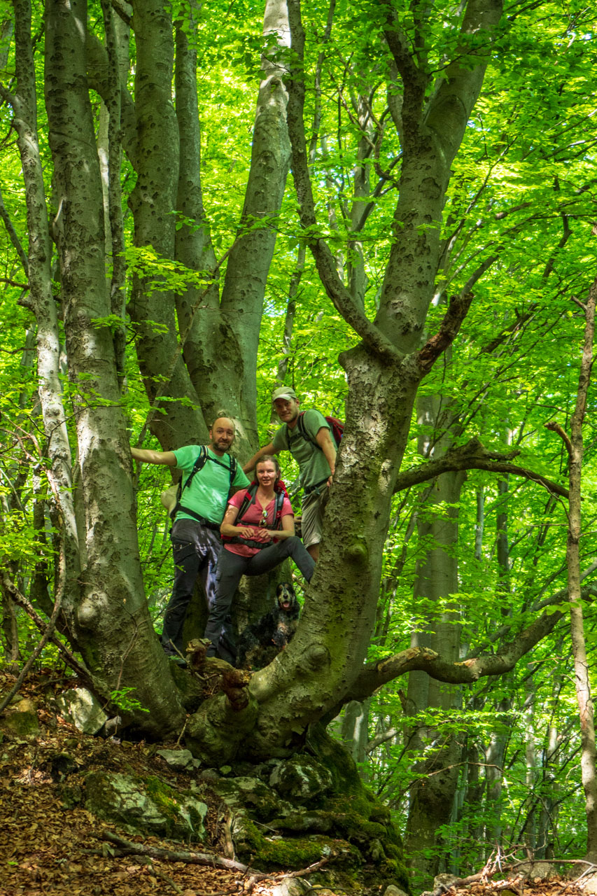 Gerlašská skala a Zvonárka z Honcov (Slovenský kras)