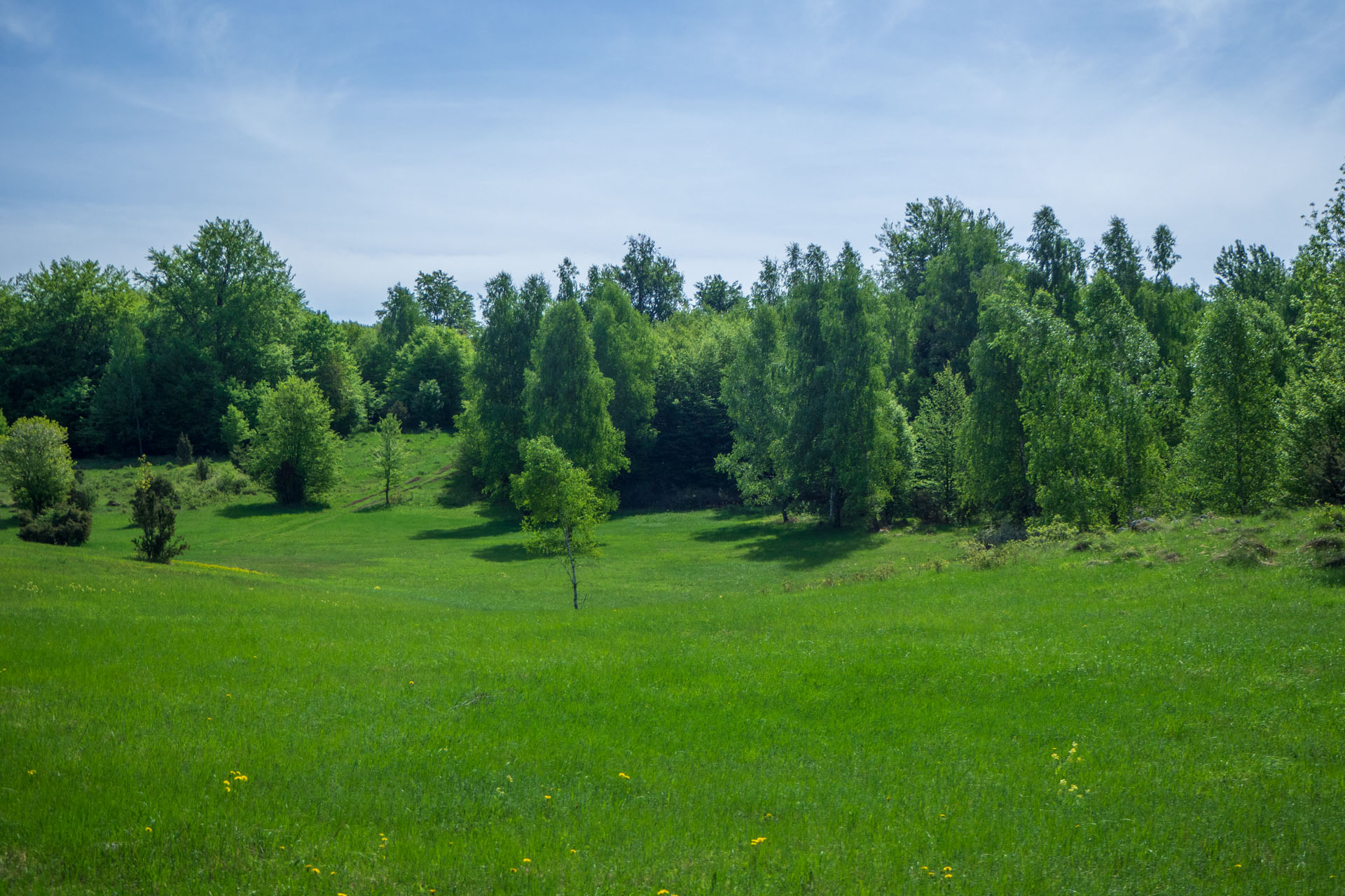 Gerlašská skala a Zvonárka z Honcov (Slovenský kras)