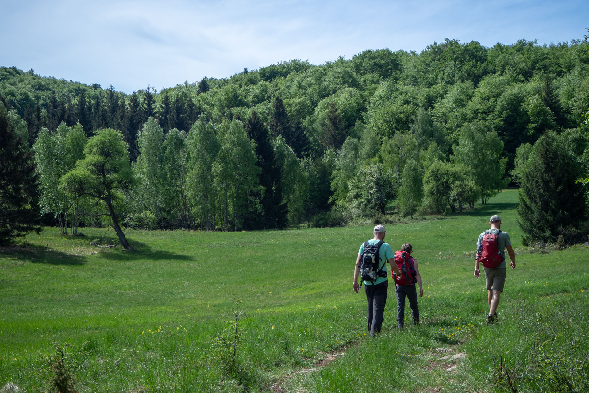 Gerlašská skala a Zvonárka z Honcov (Slovenský kras)