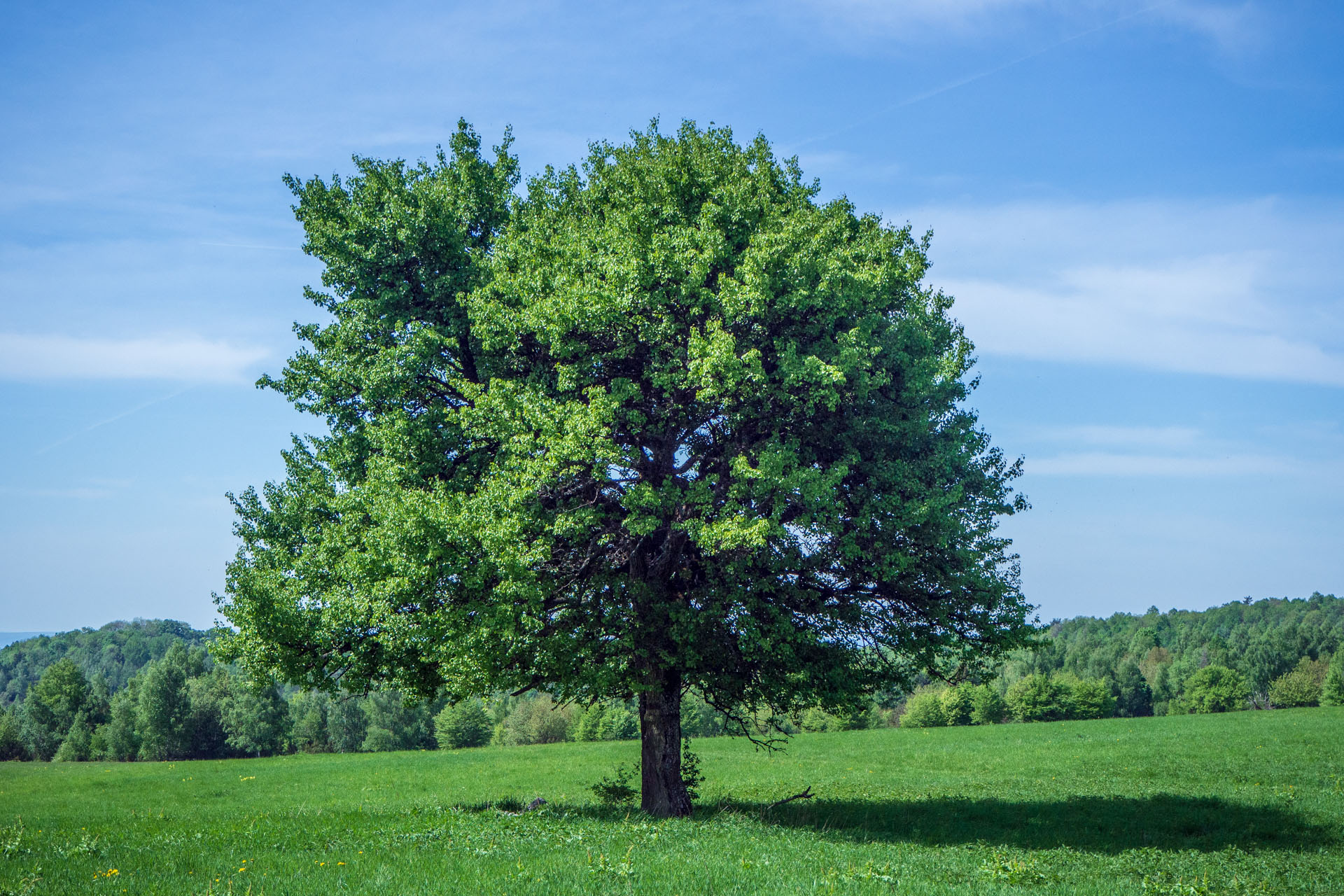 Gerlašská skala a Zvonárka z Honcov (Slovenský kras)