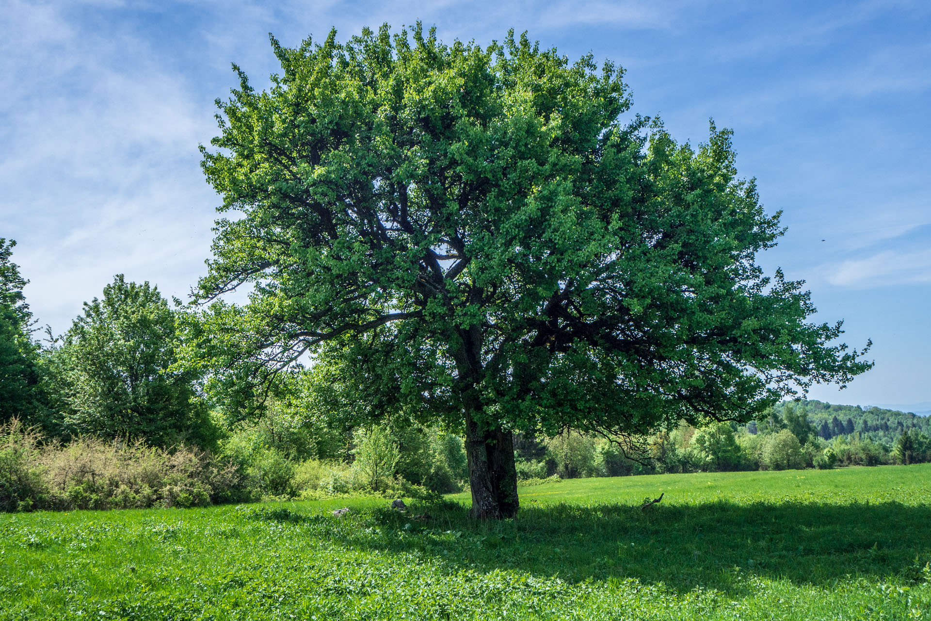 Gerlašská skala a Zvonárka z Honcov (Slovenský kras)