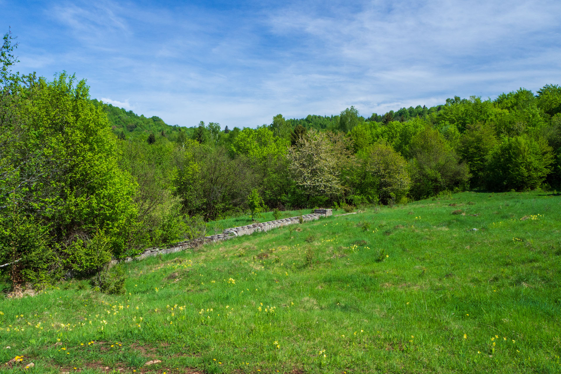 Gerlašská skala a Zvonárka z Honcov (Slovenský kras)