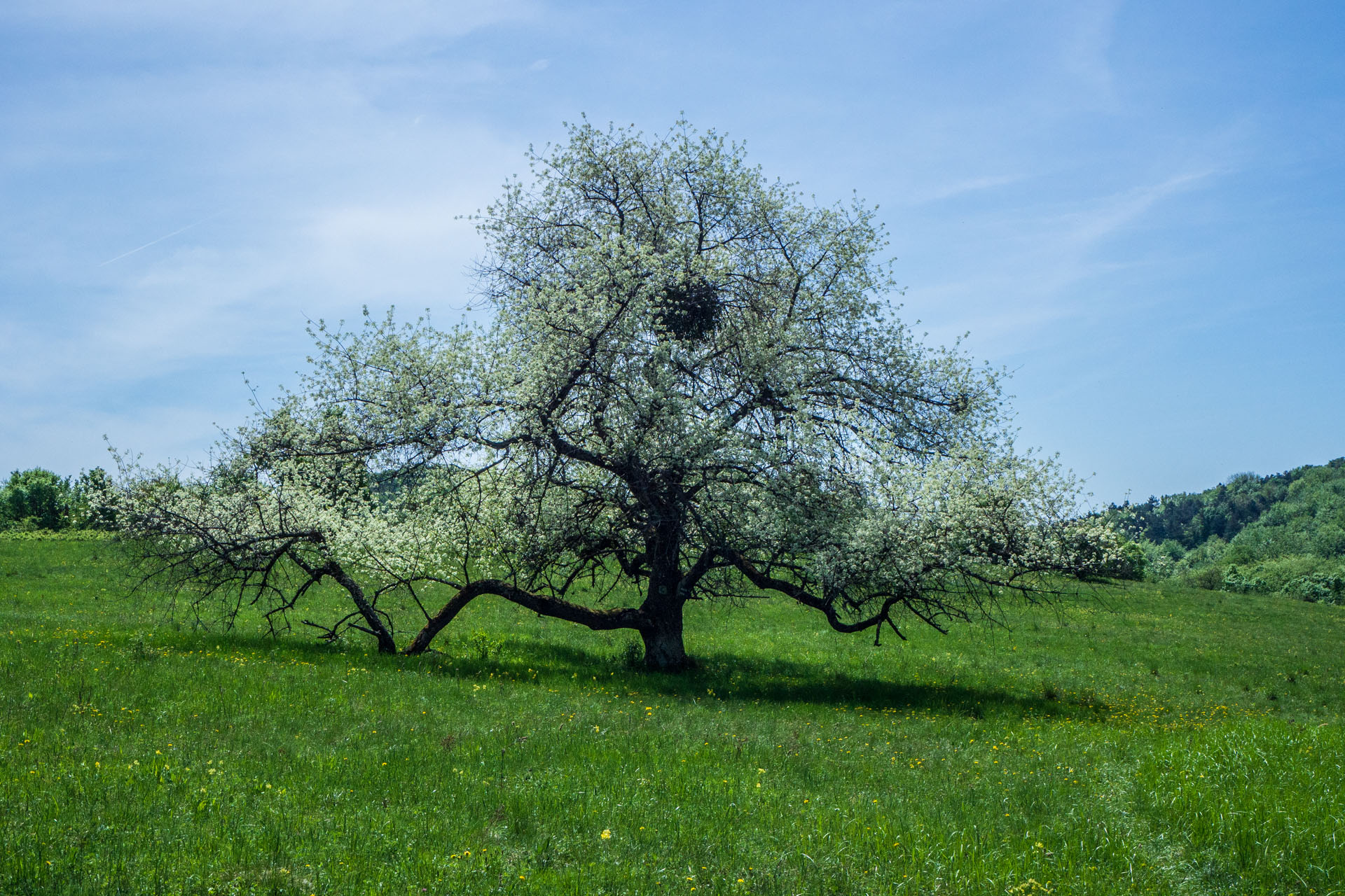 Gerlašská skala a Zvonárka z Honcov (Slovenský kras)