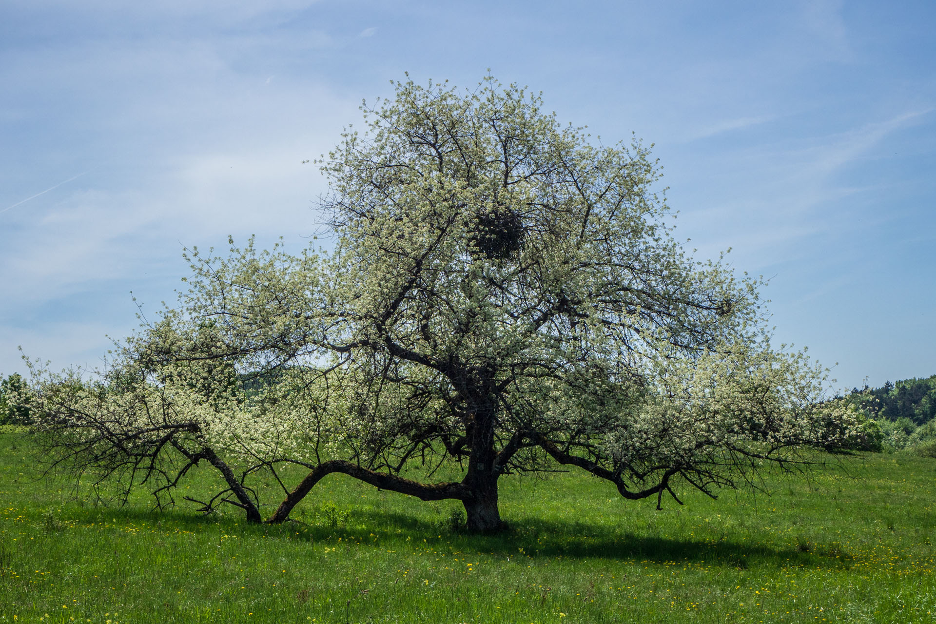 Gerlašská skala a Zvonárka z Honcov (Slovenský kras)