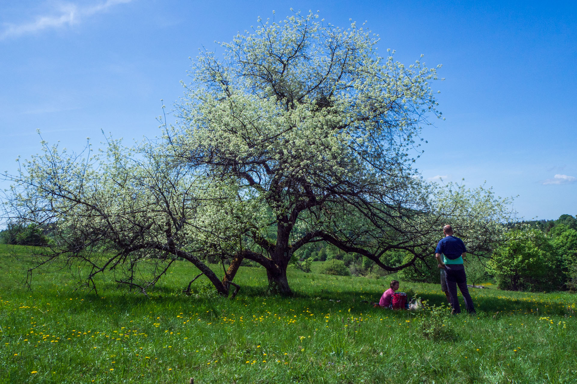 Gerlašská skala a Zvonárka z Honcov (Slovenský kras)